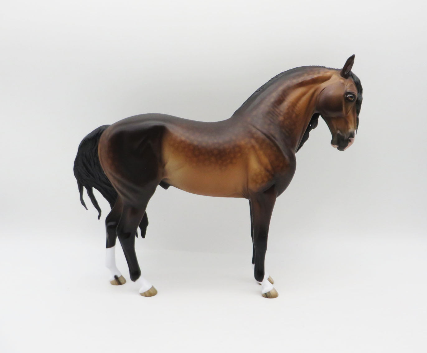 One Man Band - OOAK - Dappled Bay Andalusian by Sheryl Leisure - Best Offers 1/30/23