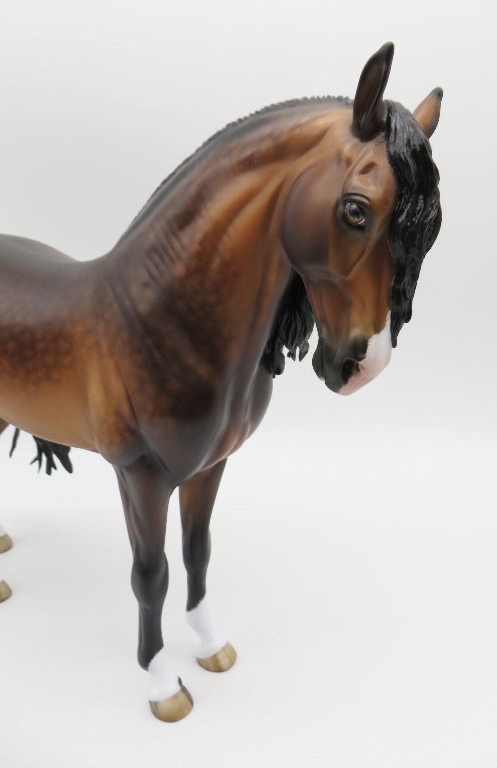 One Man Band - OOAK - Dappled Bay Andalusian by Sheryl Leisure - Best Offers 1/30/23