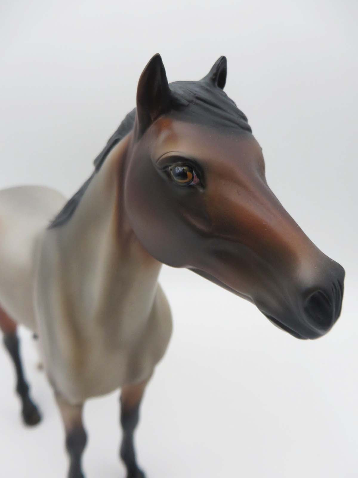 Open Range- OOAK -Bay Roan Mustang By Angela Marleau  SHCF 23