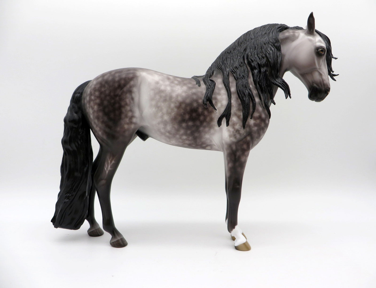 Orwell-OOAK Dapple Grey Andalusian Painted by Sheryl Leisure  EQ 21