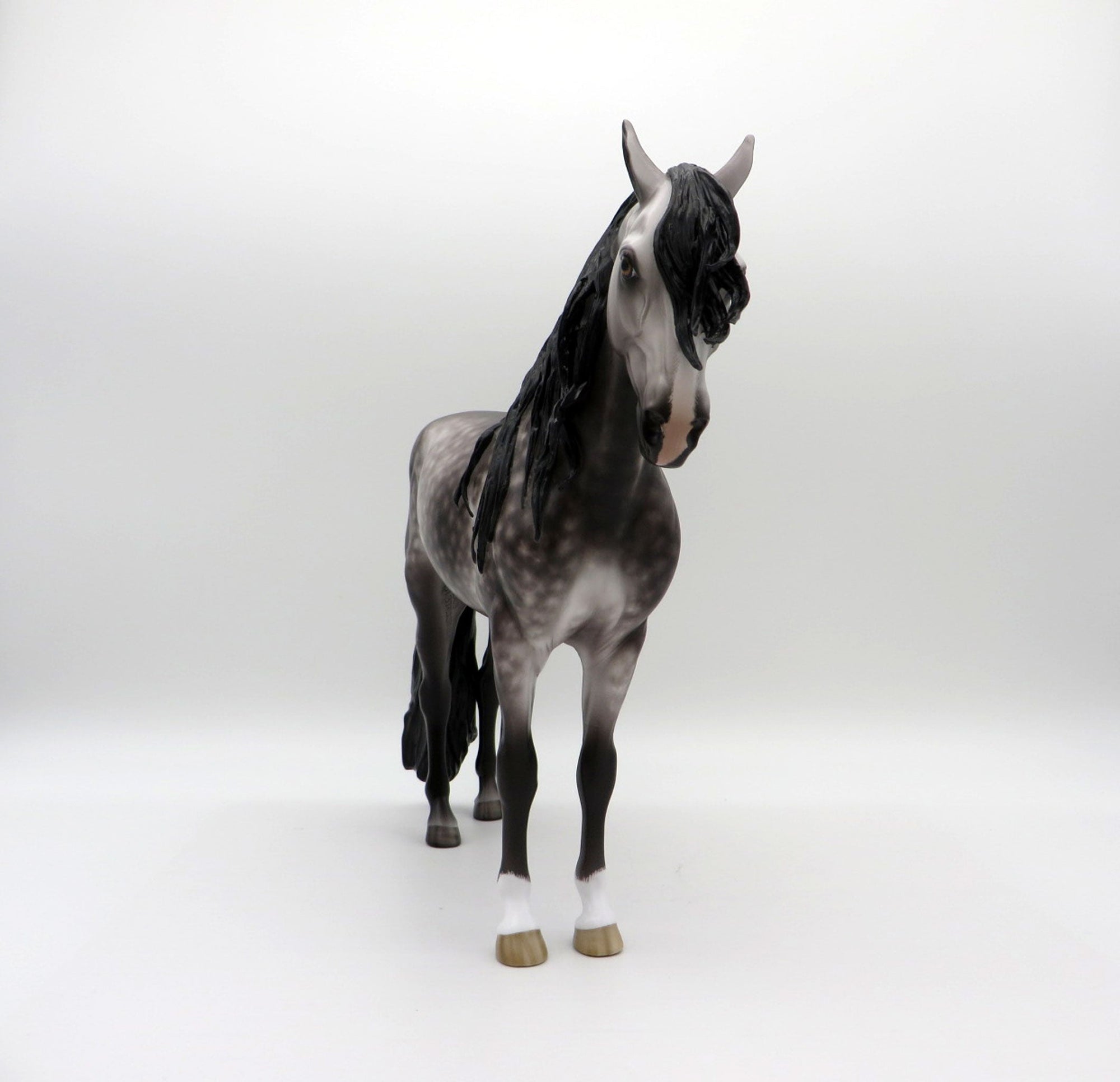 Orwell-OOAK Dapple Grey Andalusian Painted by Sheryl Leisure  EQ 21