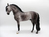 Orwell-OOAK Dapple Grey Andalusian Painted by Sheryl Leisure  EQ 21