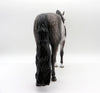 Orwell-OOAK Dapple Grey Andalusian Painted by Sheryl Leisure  EQ 21