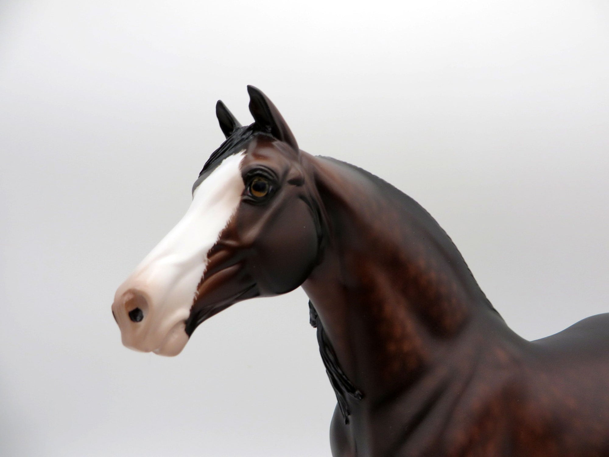 Oscar-OOAK Dapple Bay Morgan Painted By Sheryl Leisure EQ 21