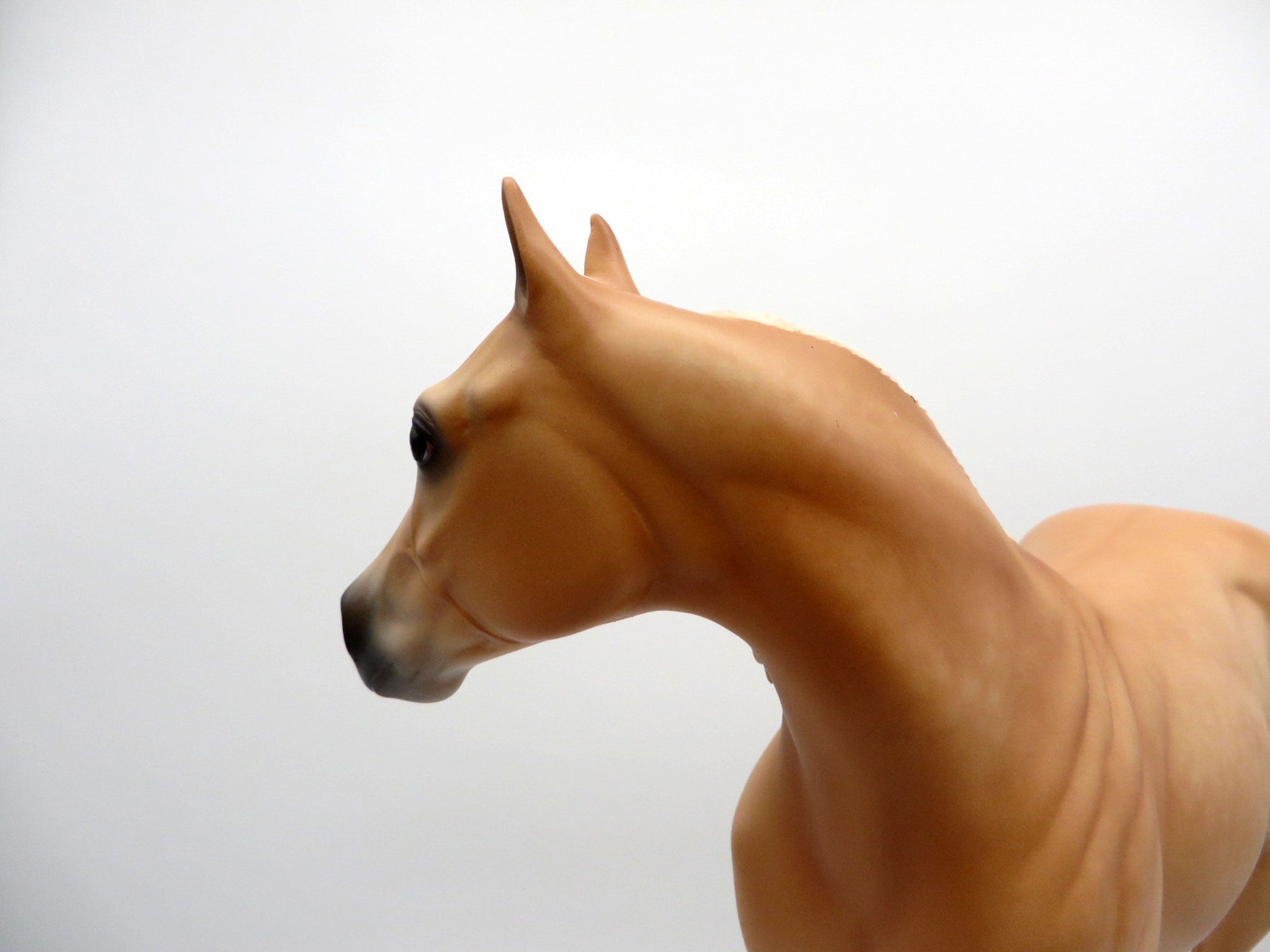 Osric-OOAK Apricot Dun ISH Painted by Sheryl Leisure 3/15/21