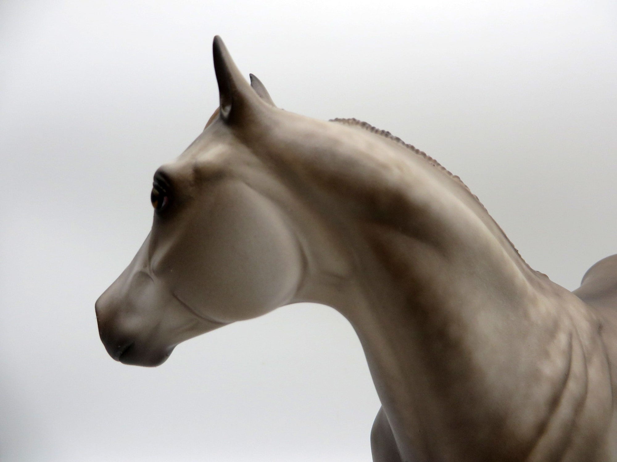 Otis-OOAK Dapple Buckskin ISH Painted by Sheryl Leisure 11/22/21