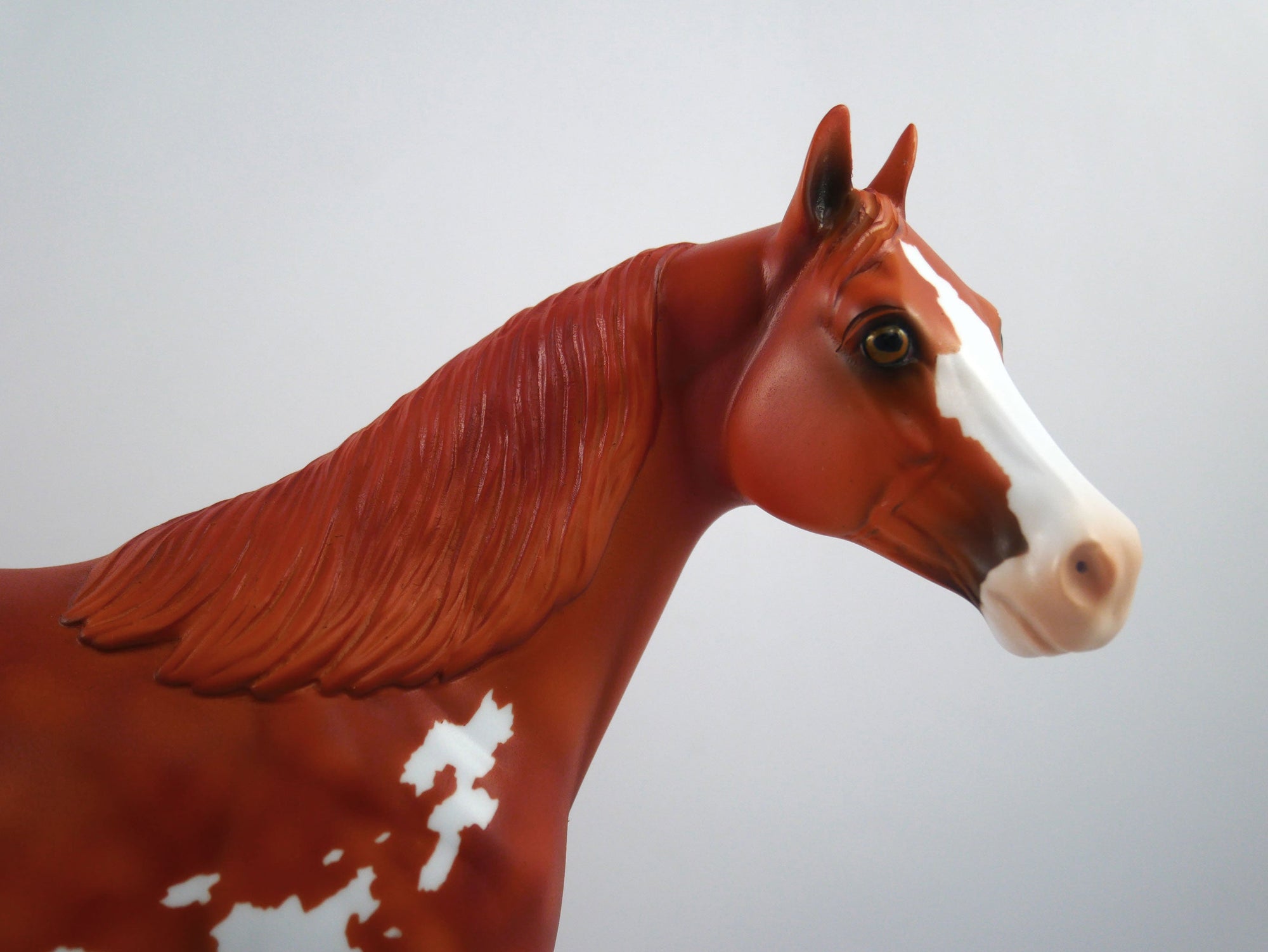 Out of Bounds-OOAK Chestnut Paint ISH  SB21