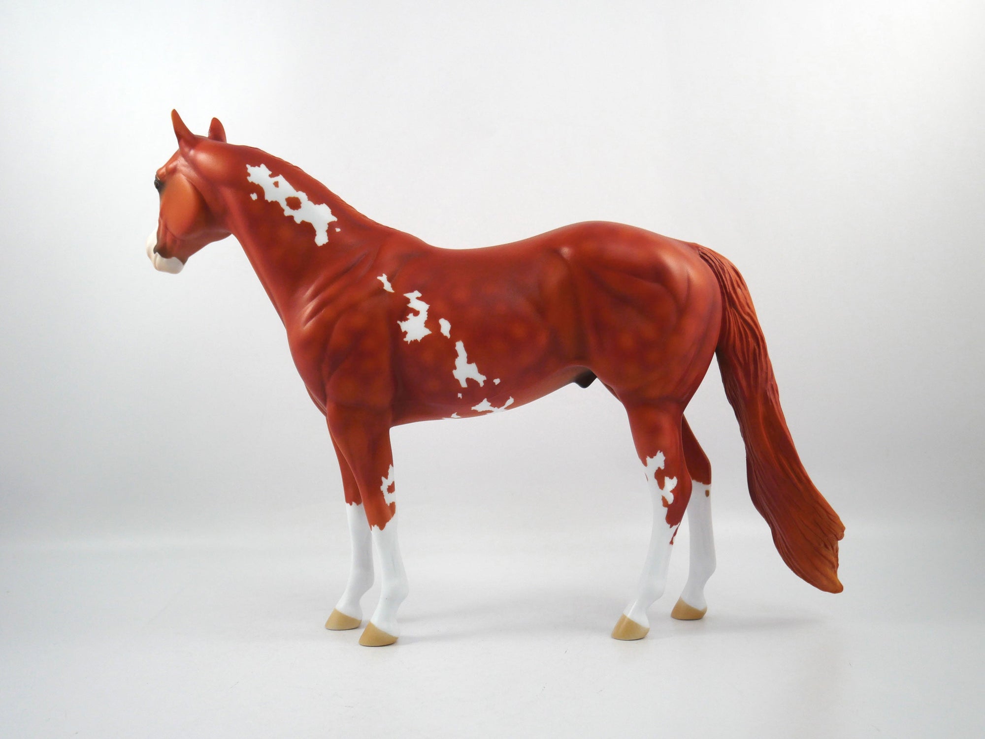 Out of Bounds-OOAK Chestnut Paint ISH  SB21