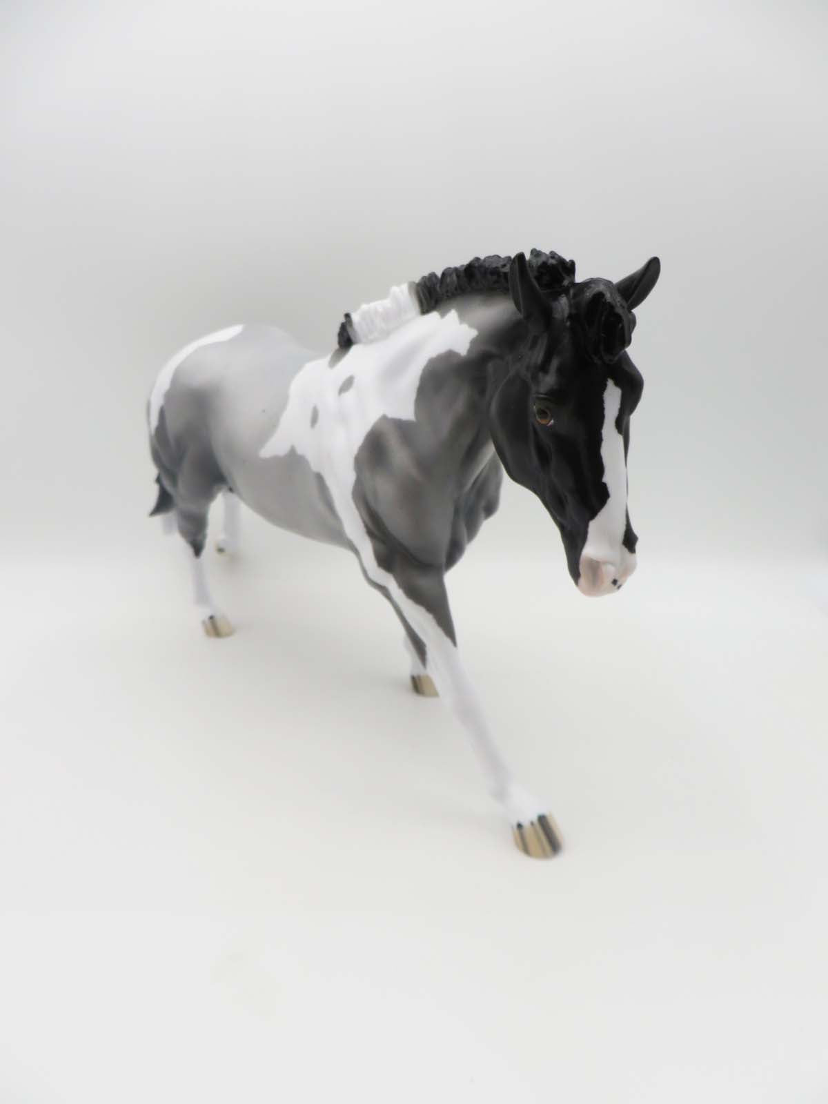 Outlived Your Past - OOAK - Blue Roan Tobiano Running Stock Horse by Ellen Robbins - SHCF23
