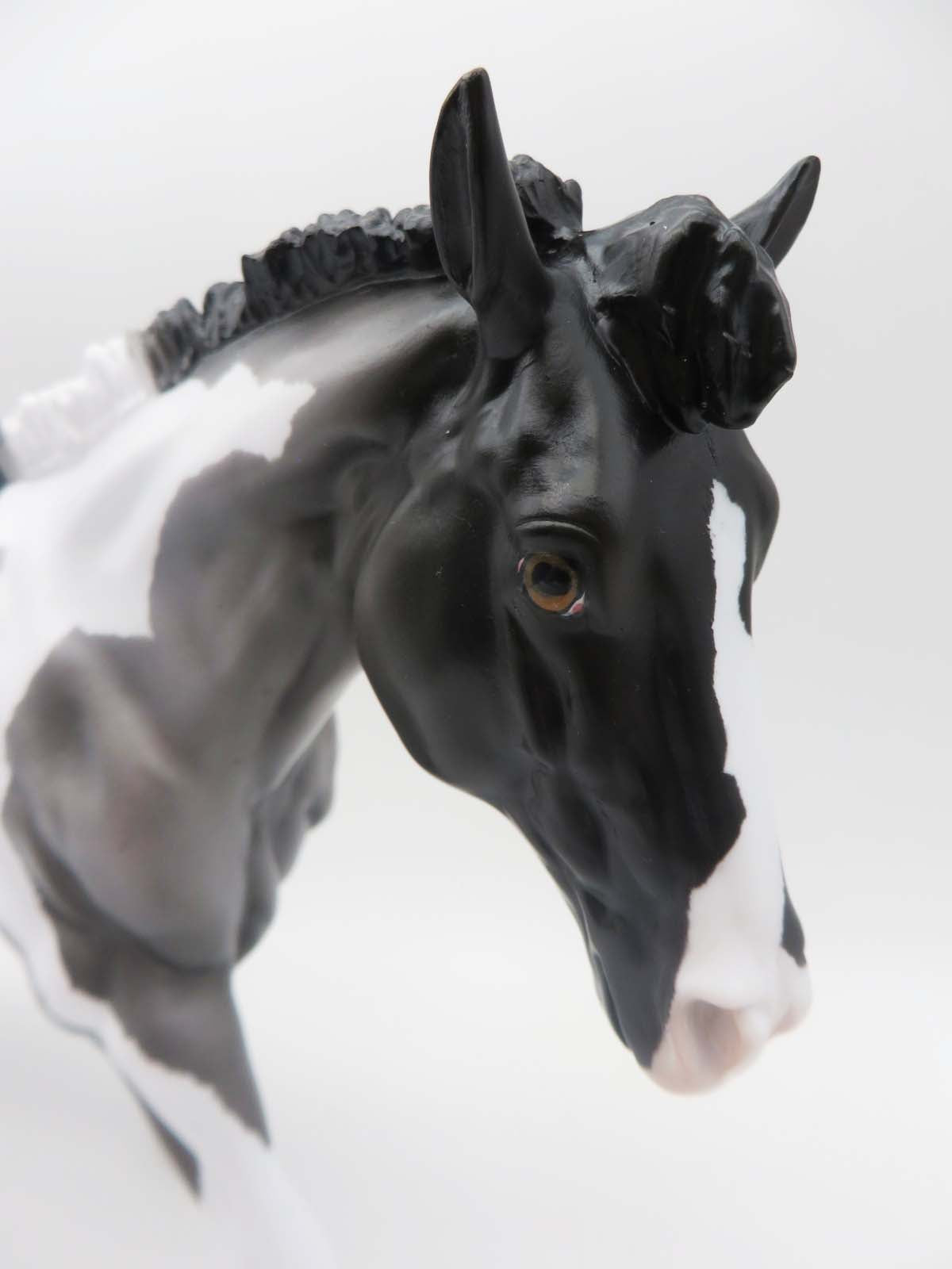Outlived Your Past - OOAK - Blue Roan Tobiano Running Stock Horse by Ellen Robbins - SHCF23