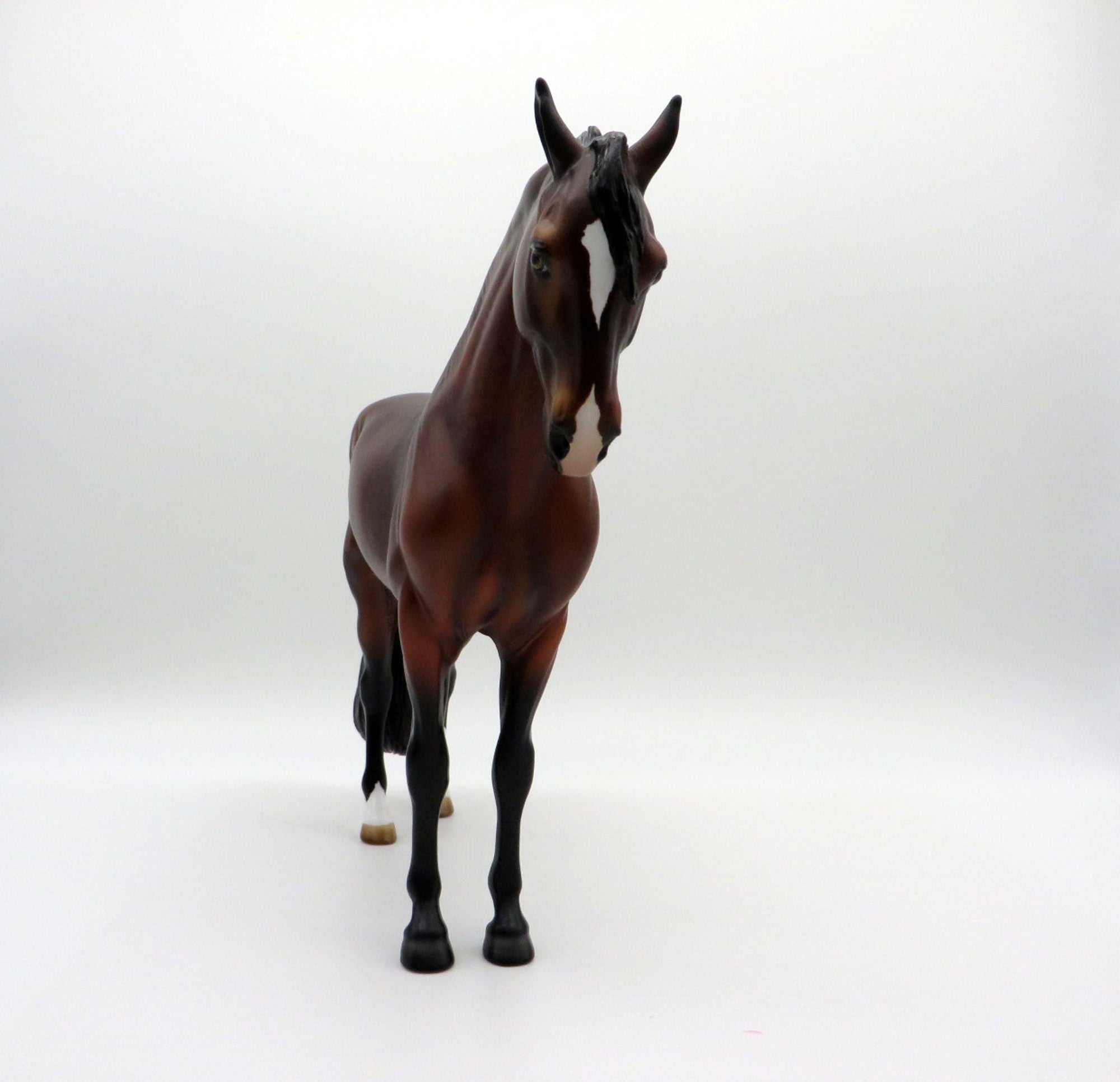 Overcast-OOAK Dapple Bay Andalusian SHCF 2021