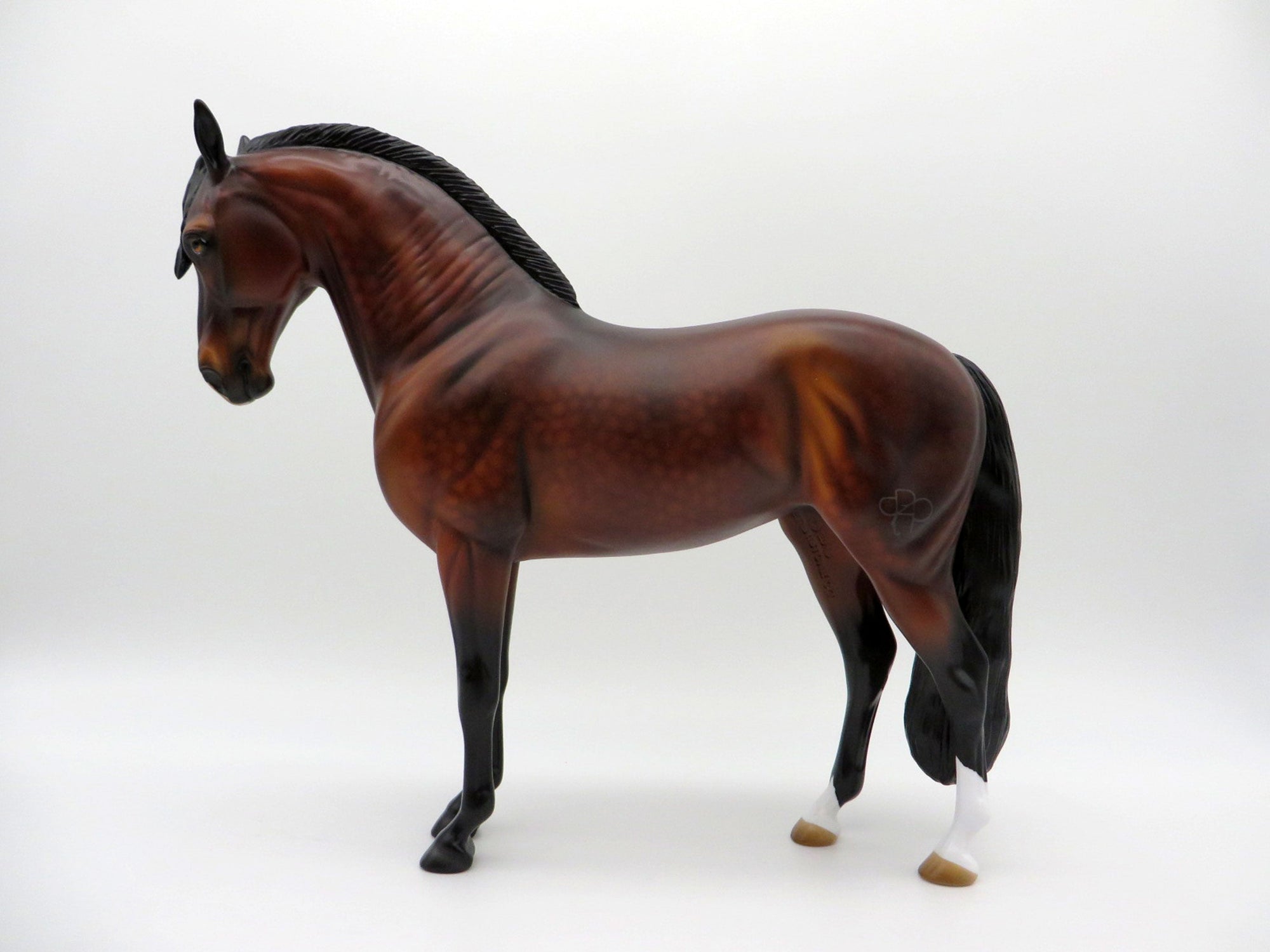 Overcast-OOAK Dapple Bay Andalusian SHCF 2021