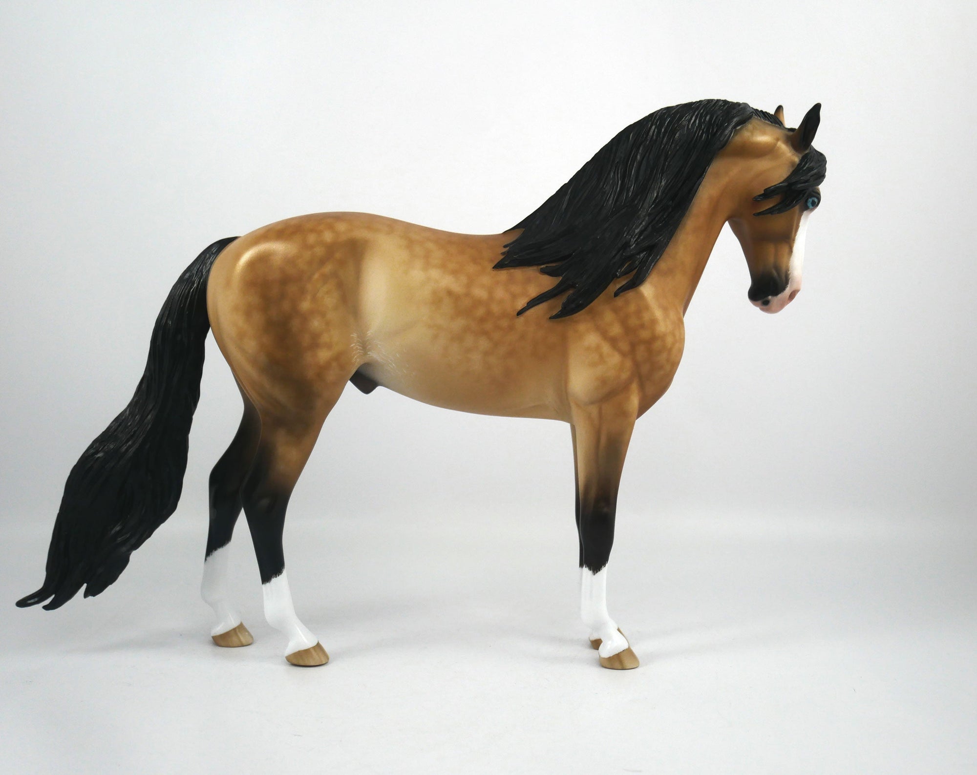 Ovestus-OOAK Dapple Buckskin Paint Andalusian Painted By Sheryl Leisure 1/8/21