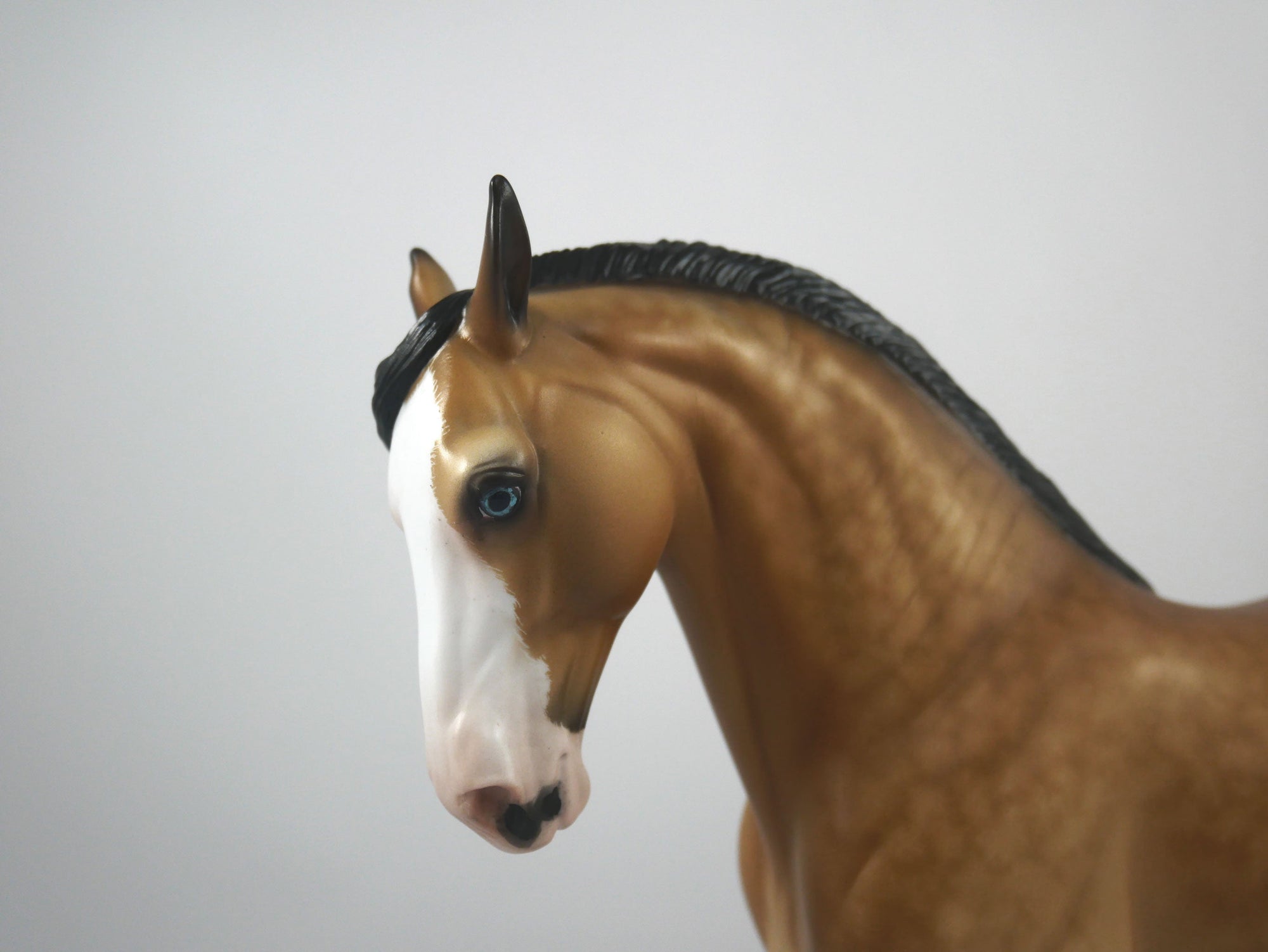 Ovestus-OOAK Dapple Buckskin Paint Andalusian Painted By Sheryl Leisure 1/8/21