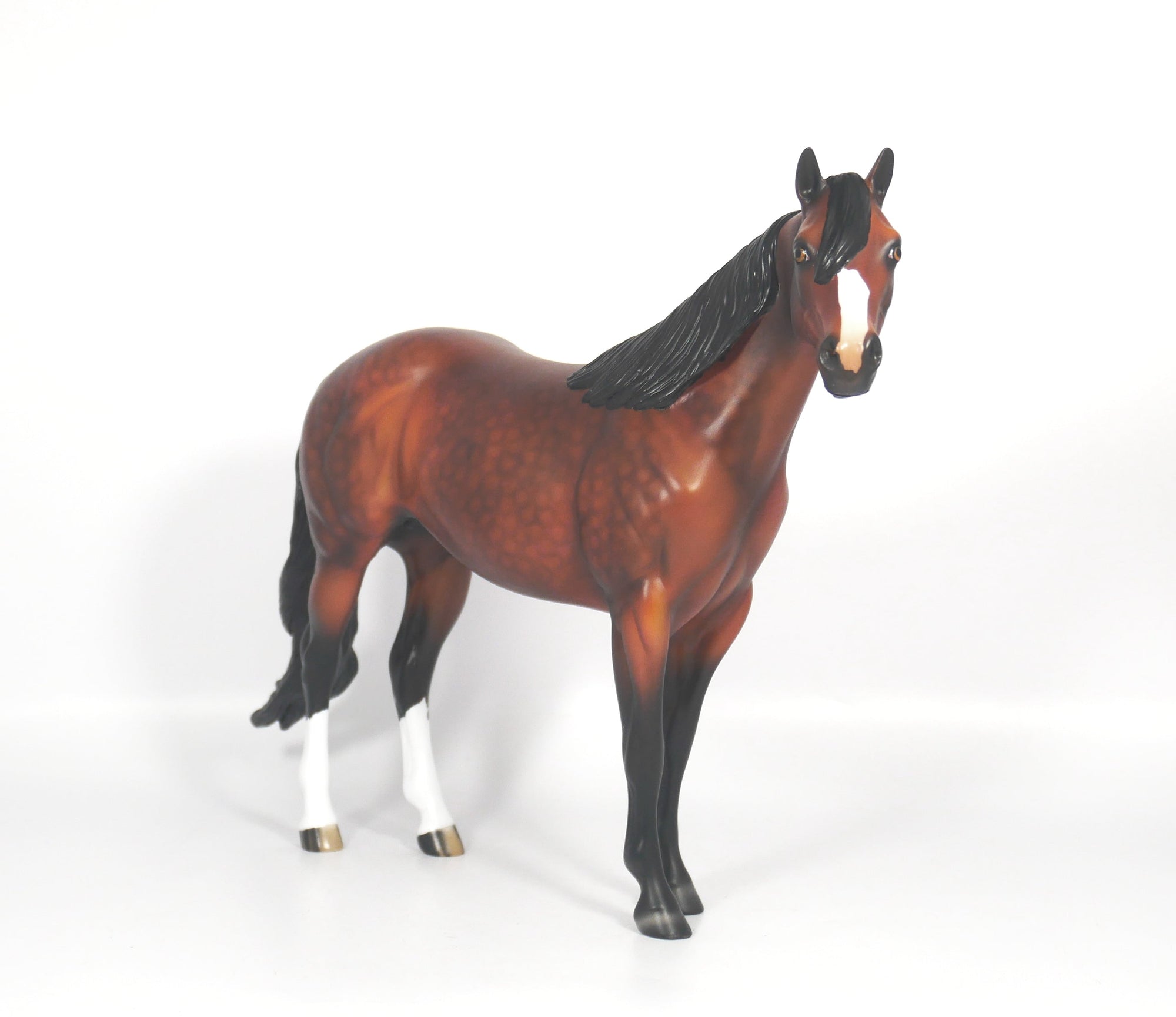 LOCOMOTION-OOAK DAPPLE BAY ISH SB21