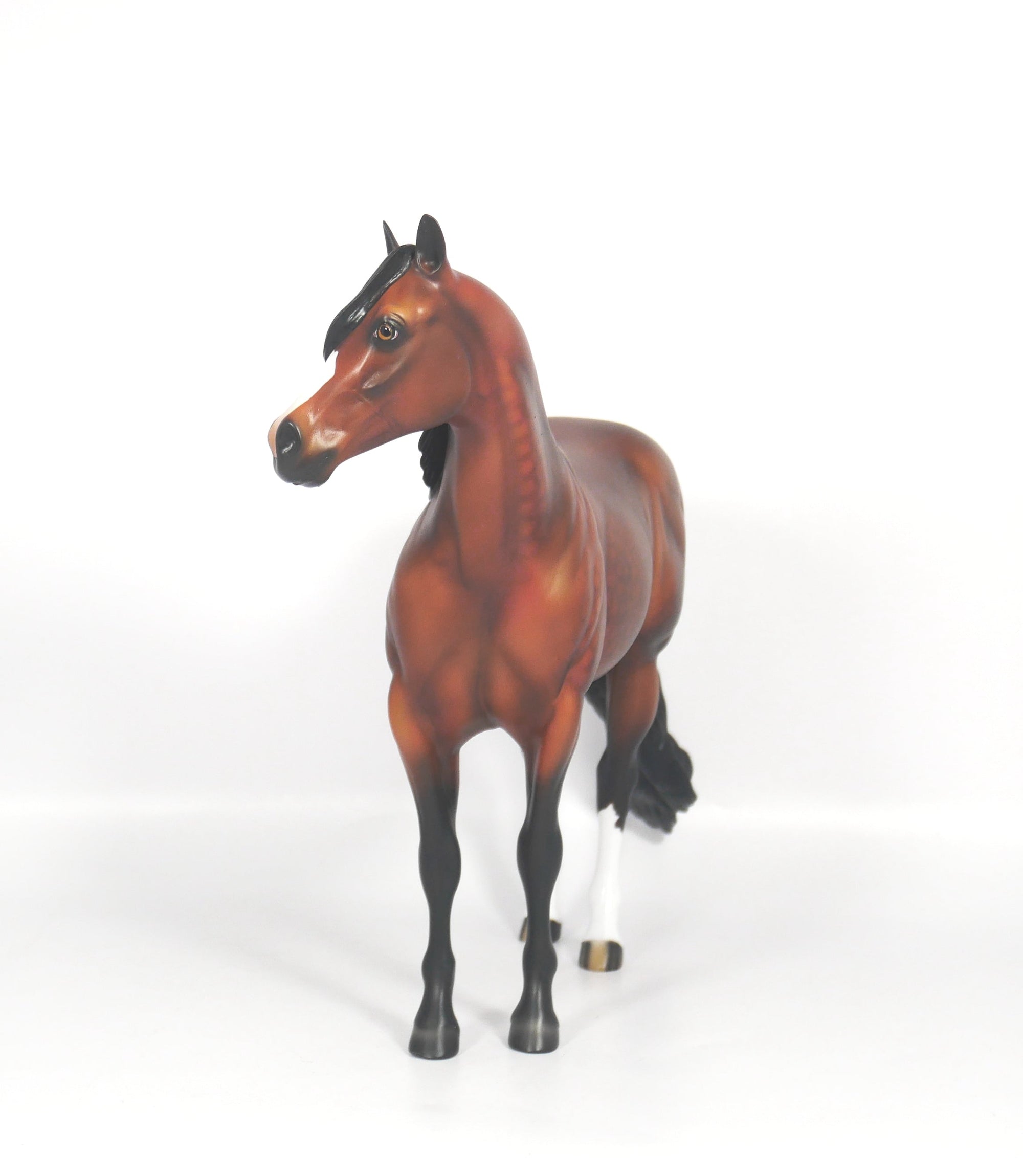 LOCOMOTION-OOAK DAPPLE BAY ISH SB21