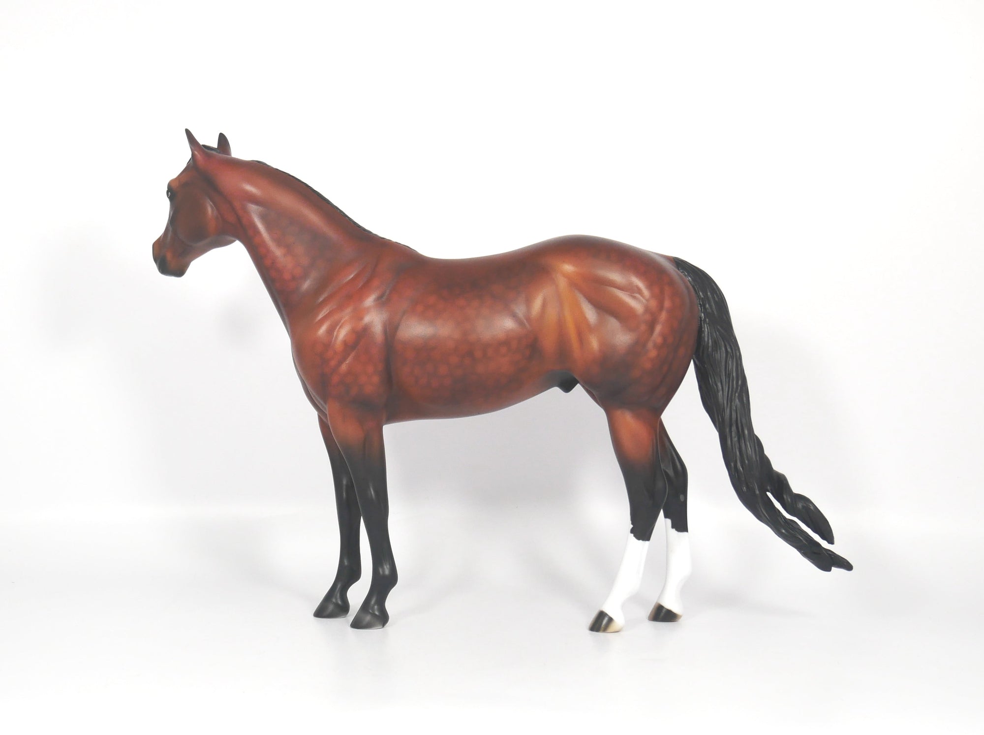 LOCOMOTION-OOAK DAPPLE BAY ISH SB21