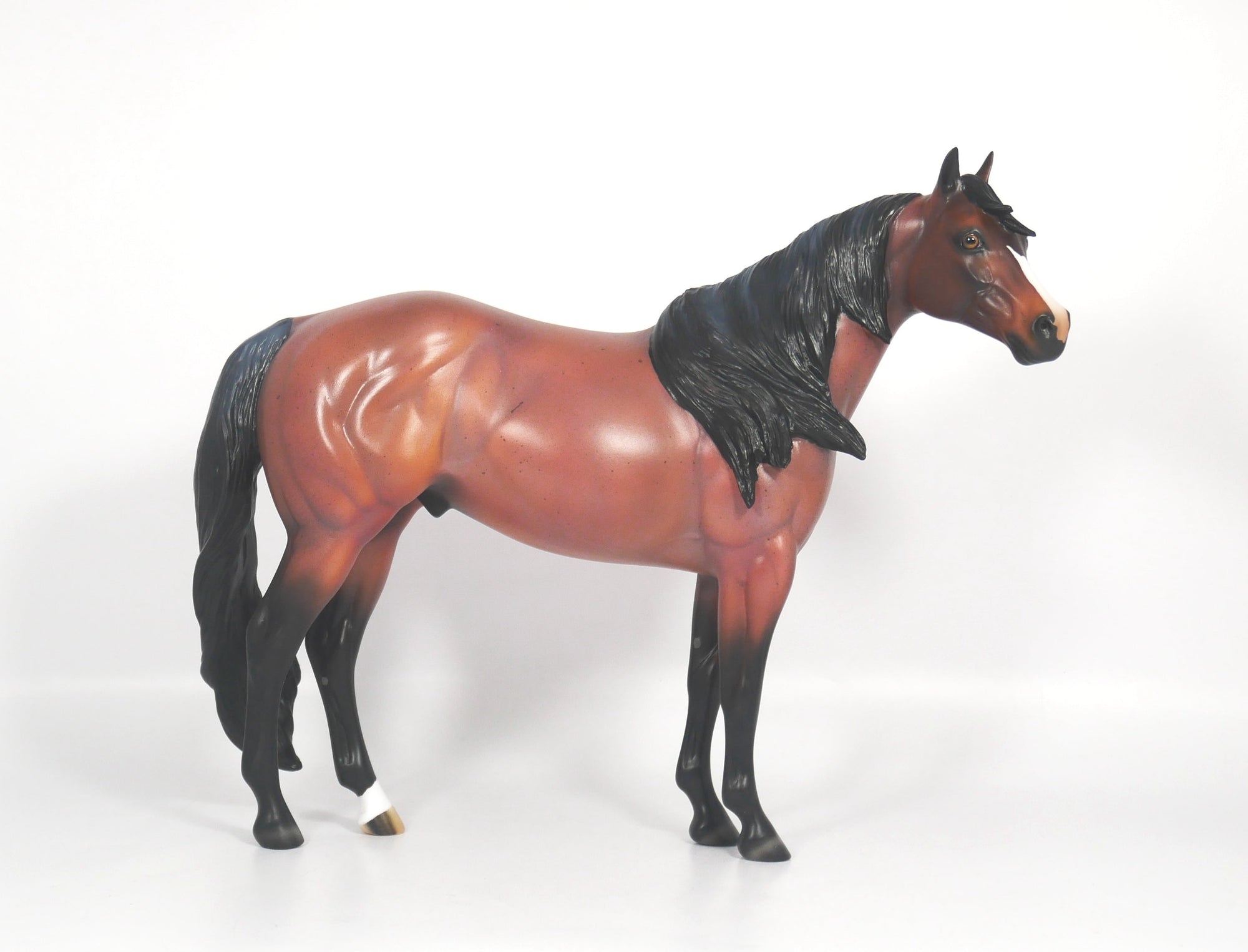 Steeler-OOAK Red Roan ISH SB21