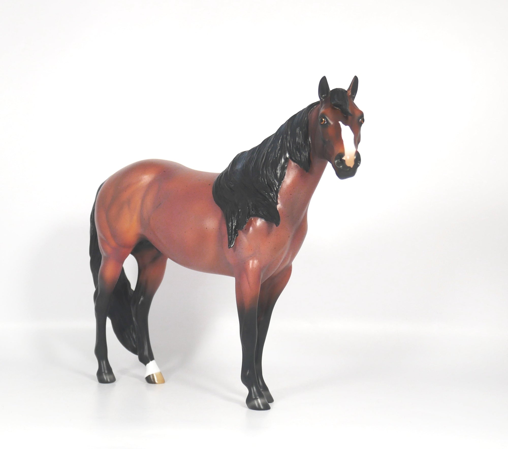Steeler-OOAK Red Roan ISH SB21