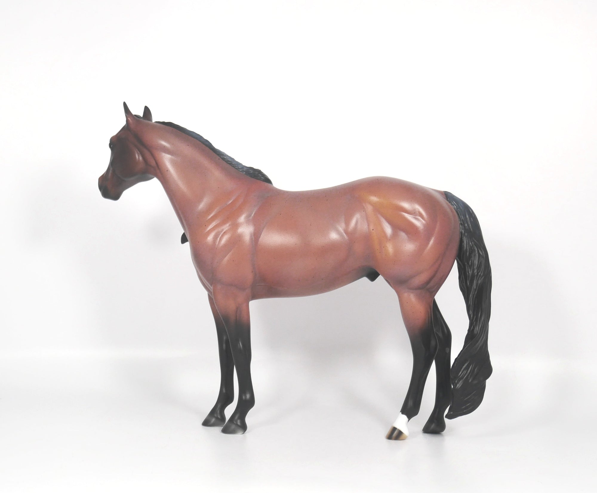 Steeler-OOAK Red Roan ISH SB21