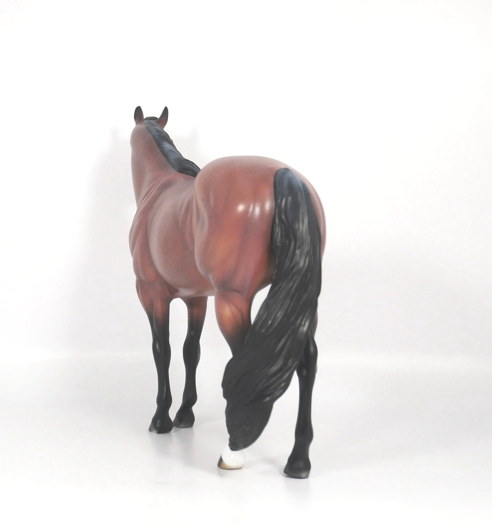 Steeler-OOAK Red Roan ISH SB21