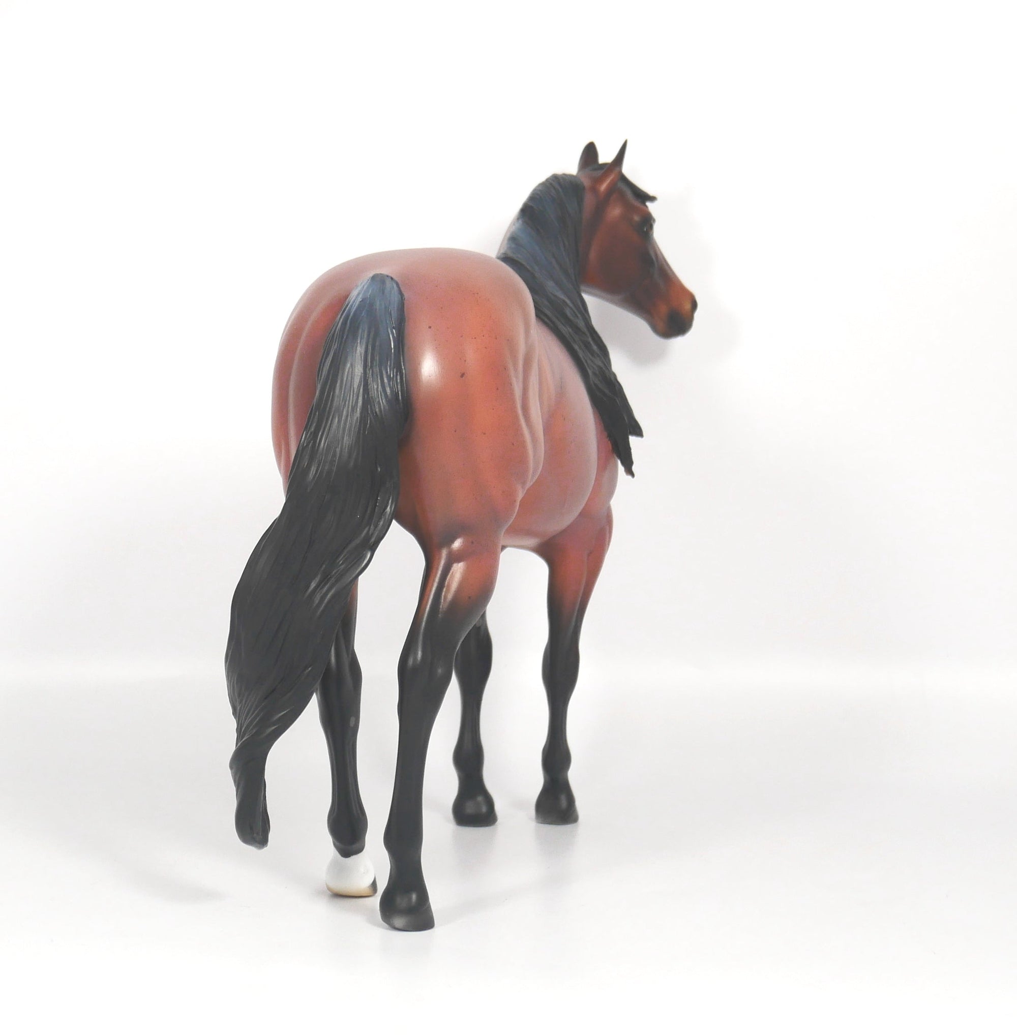 Steeler-OOAK Red Roan ISH SB21