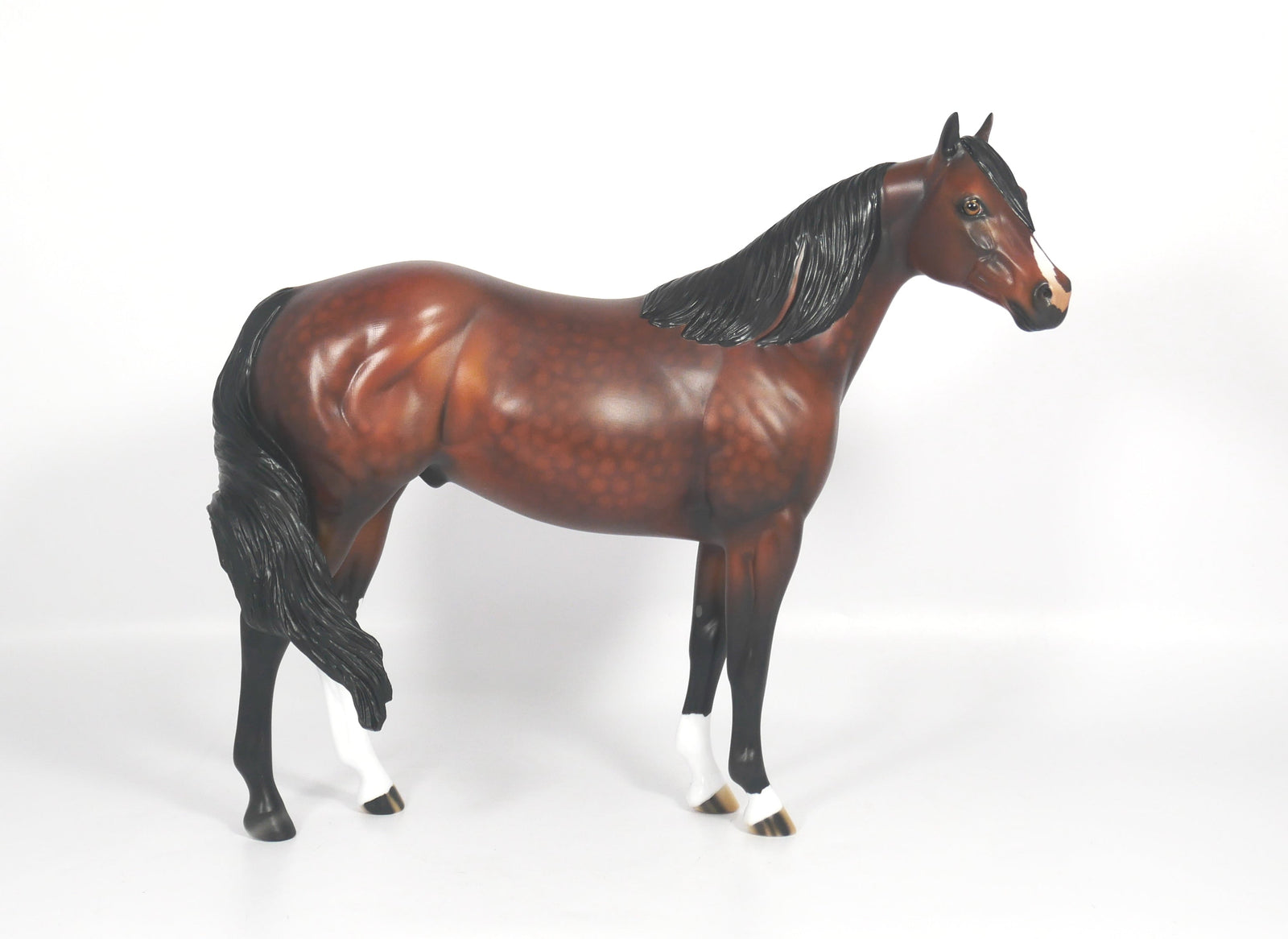 Titan-OOAK Dapple Bay ISH SB21