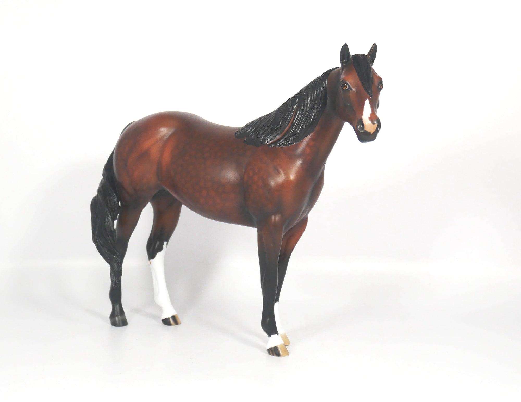 Titan-OOAK Dapple Bay ISH SB21