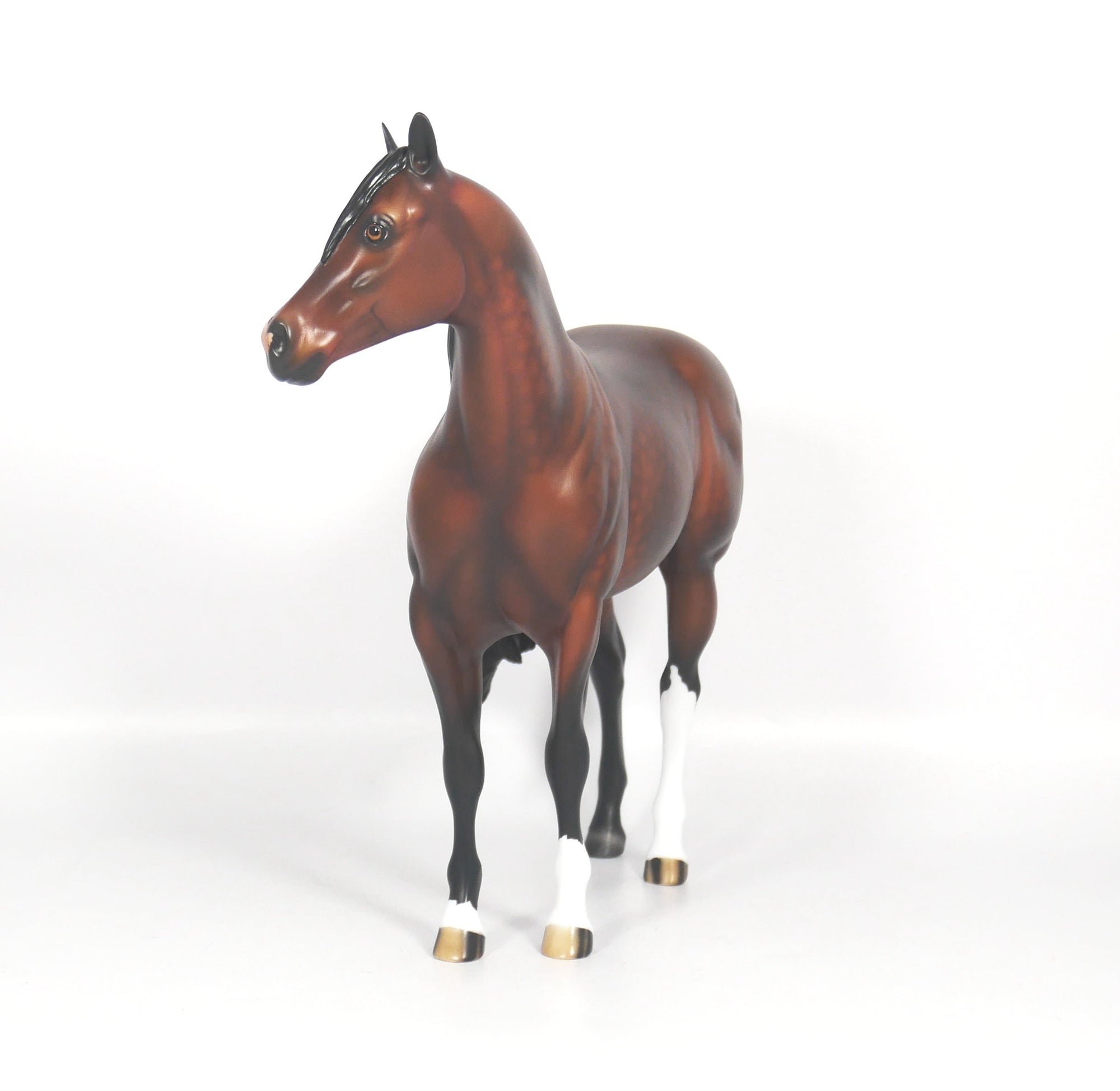 Titan-OOAK Dapple Bay ISH SB21