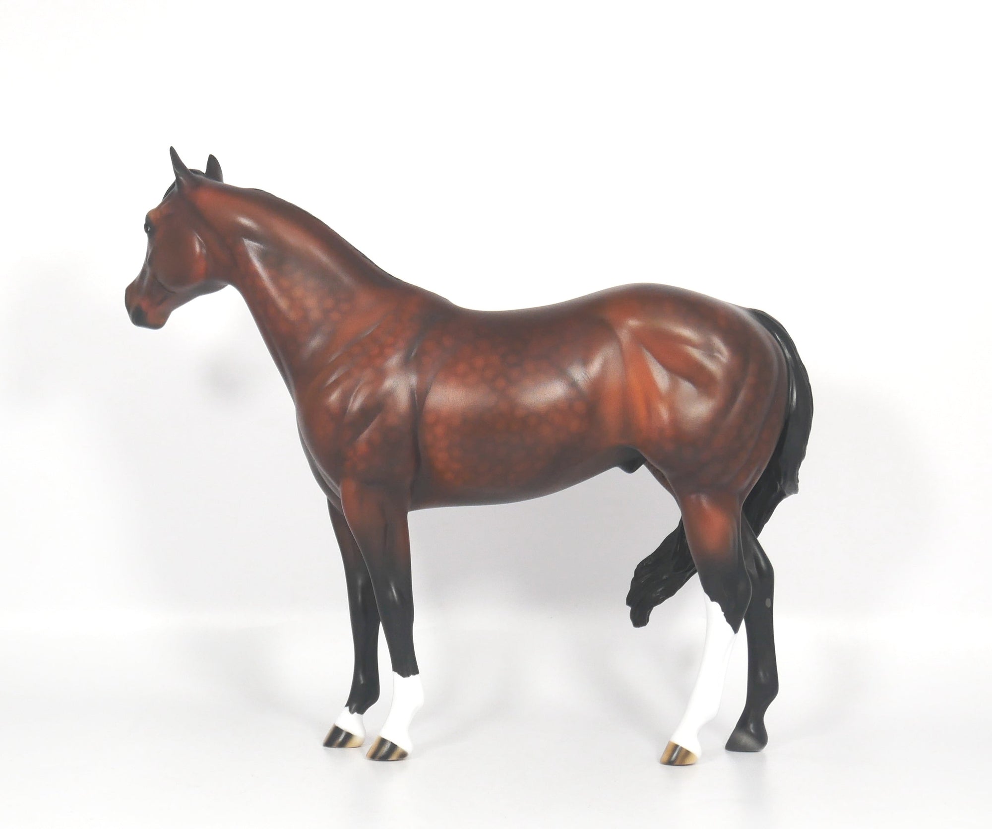 Titan-OOAK Dapple Bay ISH SB21