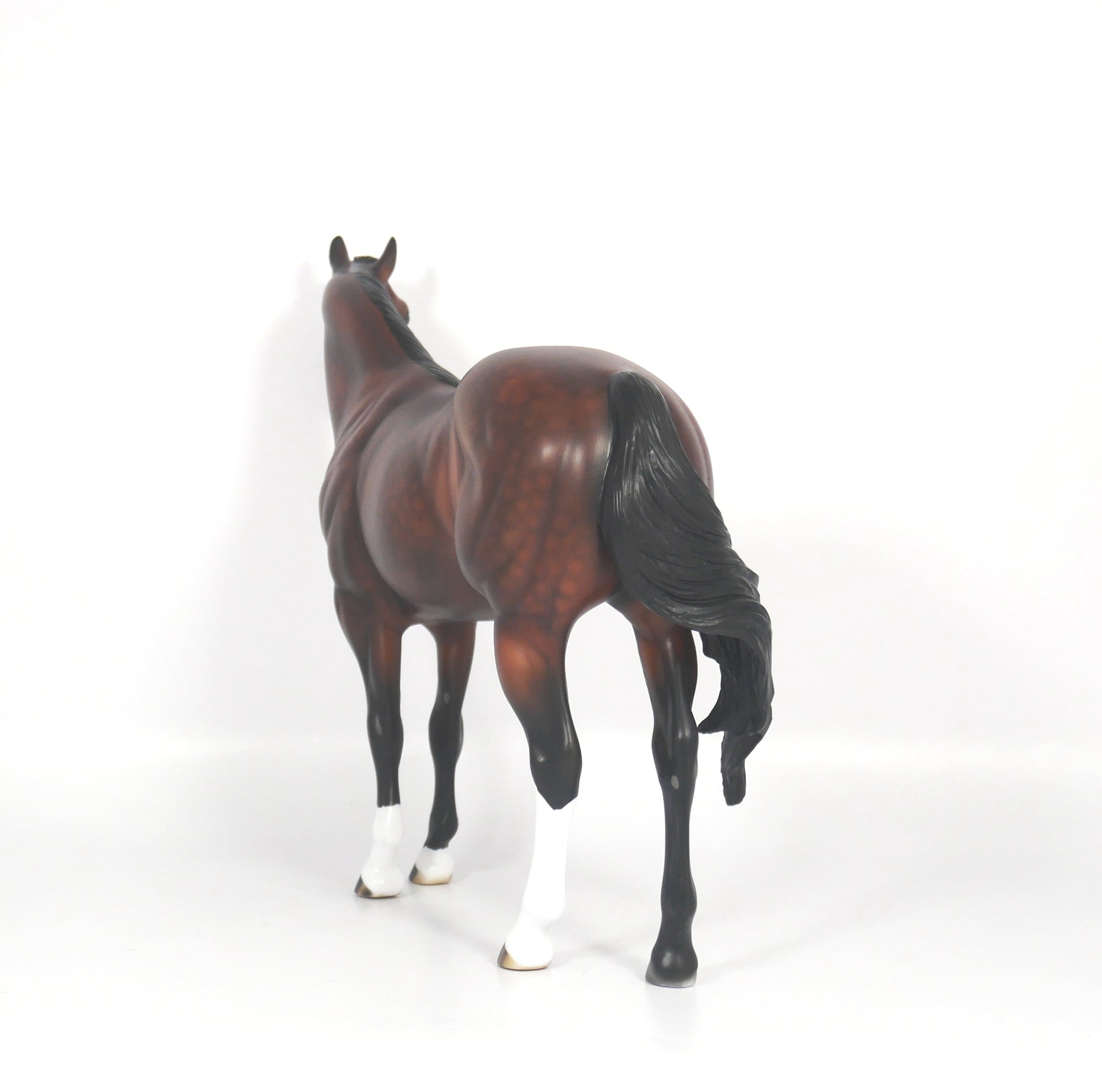 Titan-OOAK Dapple Bay ISH SB21