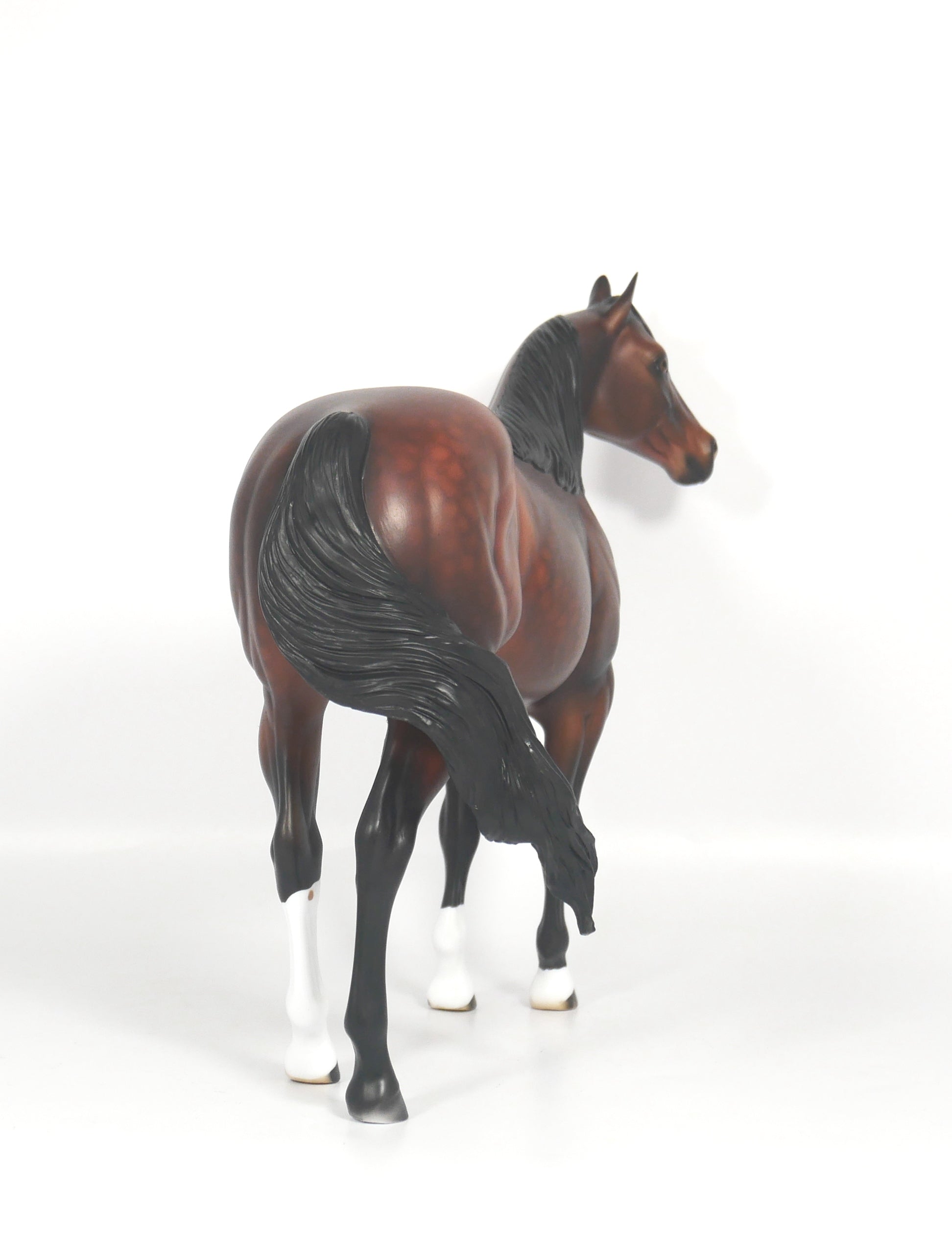 Titan-OOAK Dapple Bay ISH SB21