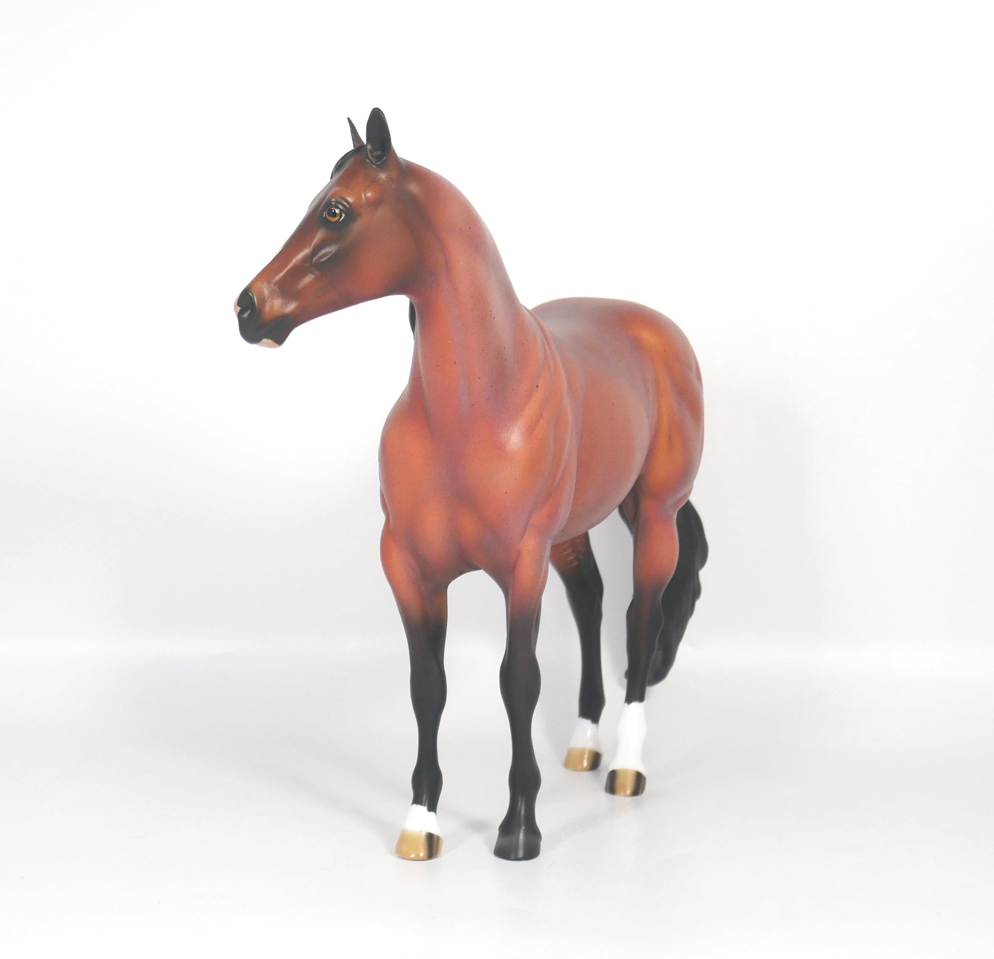 PATRIOT-OOAK Red Roan ISH SB21