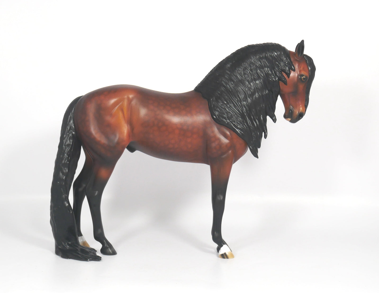 Washington-OOAK Dapple Bay Andalusian SB21