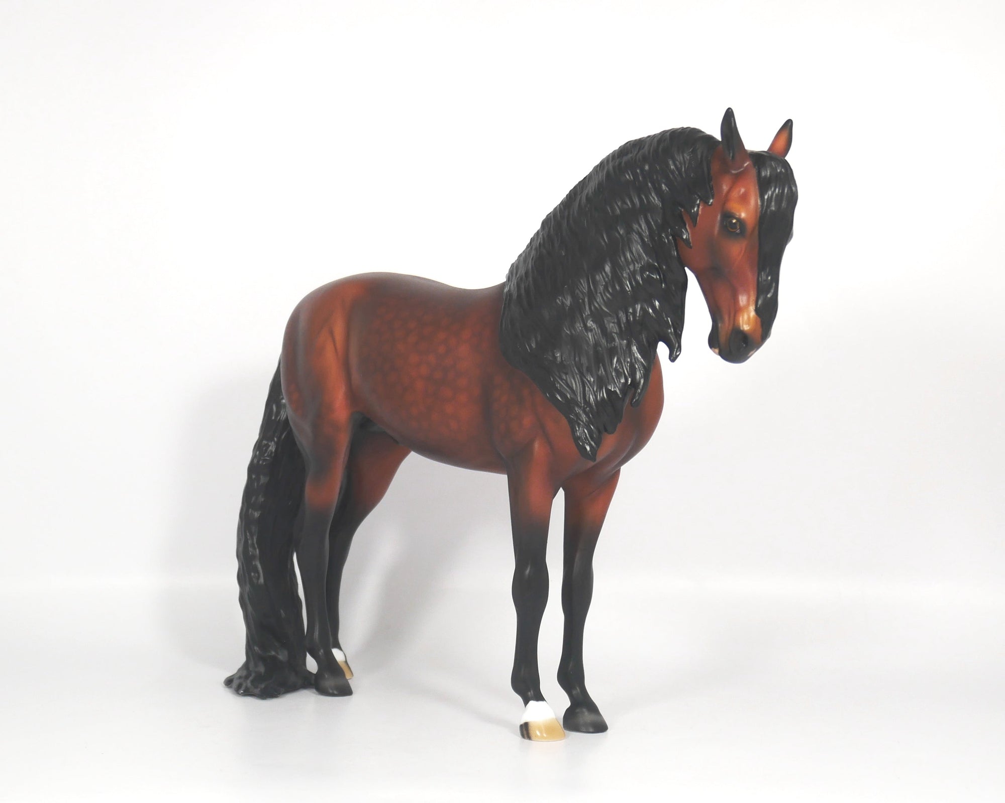 Washington-OOAK Dapple Bay Andalusian SB21