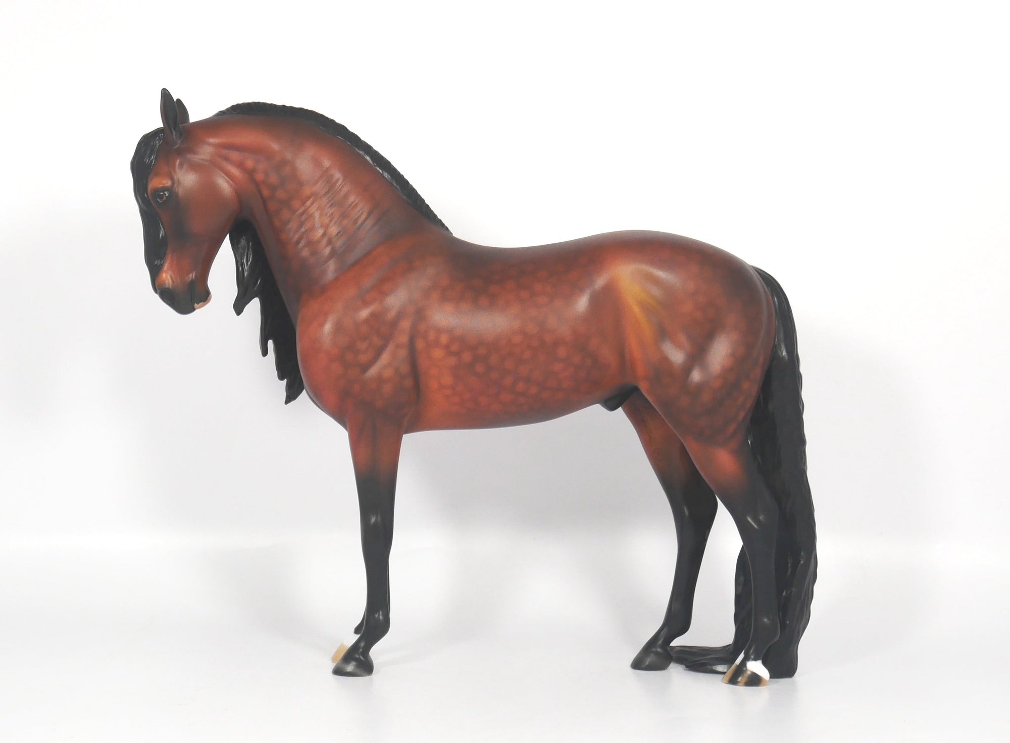 Washington-OOAK Dapple Bay Andalusian SB21