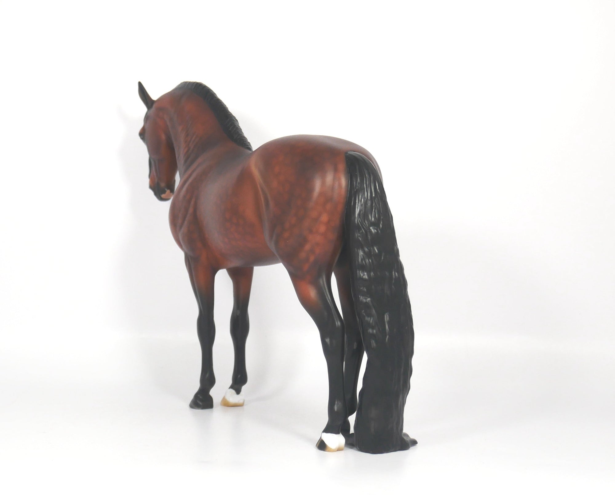 Washington-OOAK Dapple Bay Andalusian SB21