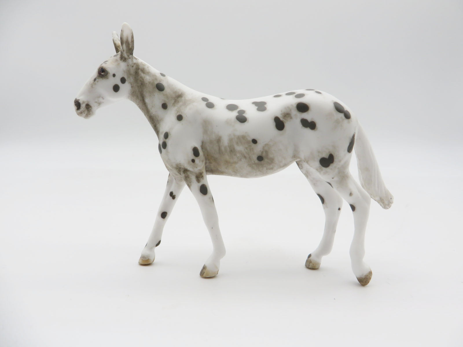 PETRIFIEDFOREST- OOAK  Appy Mule Chip LHS 22