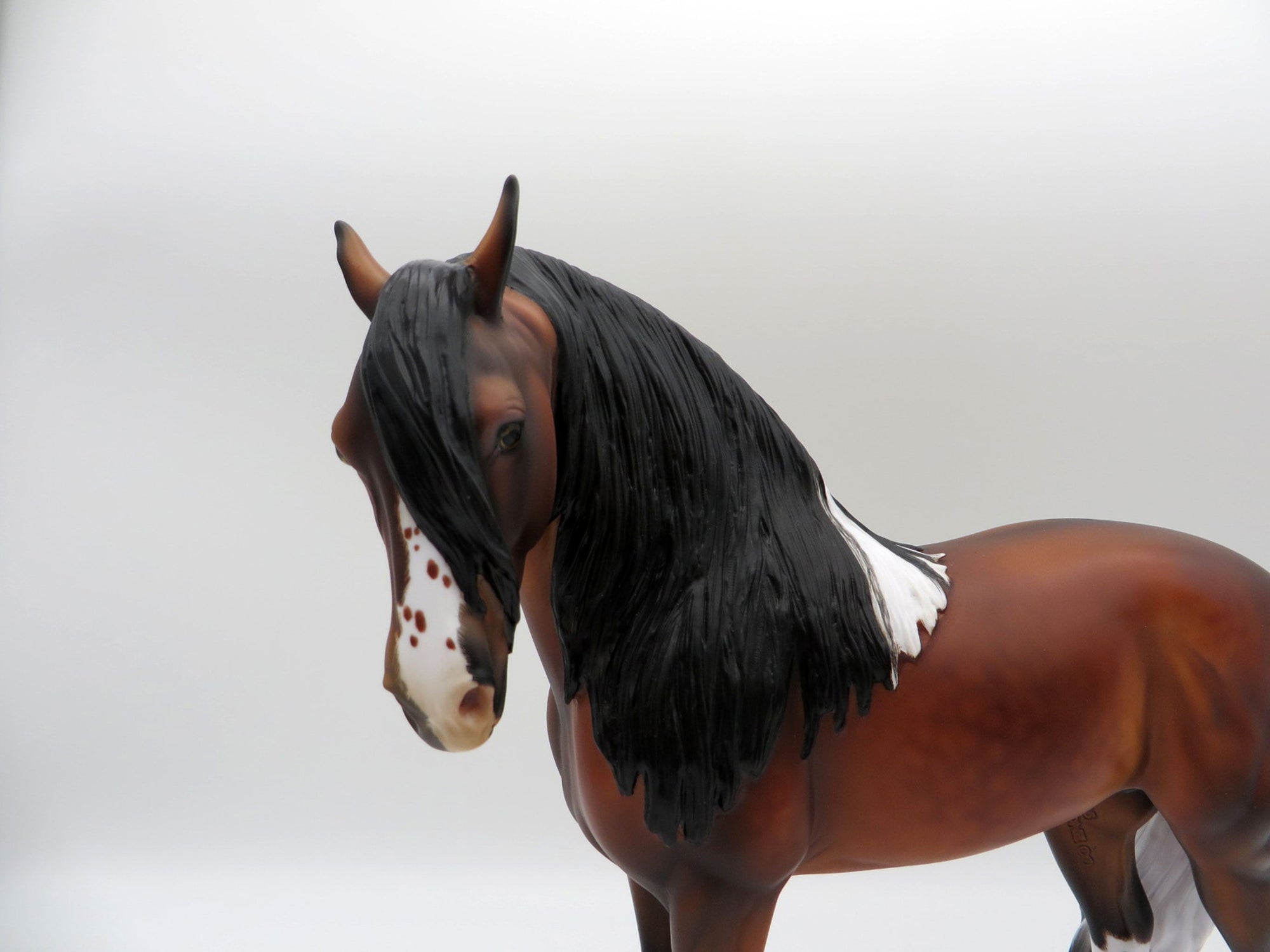 Pluie-OOAK Bay Pintaloosa Andalusian SHCF 21