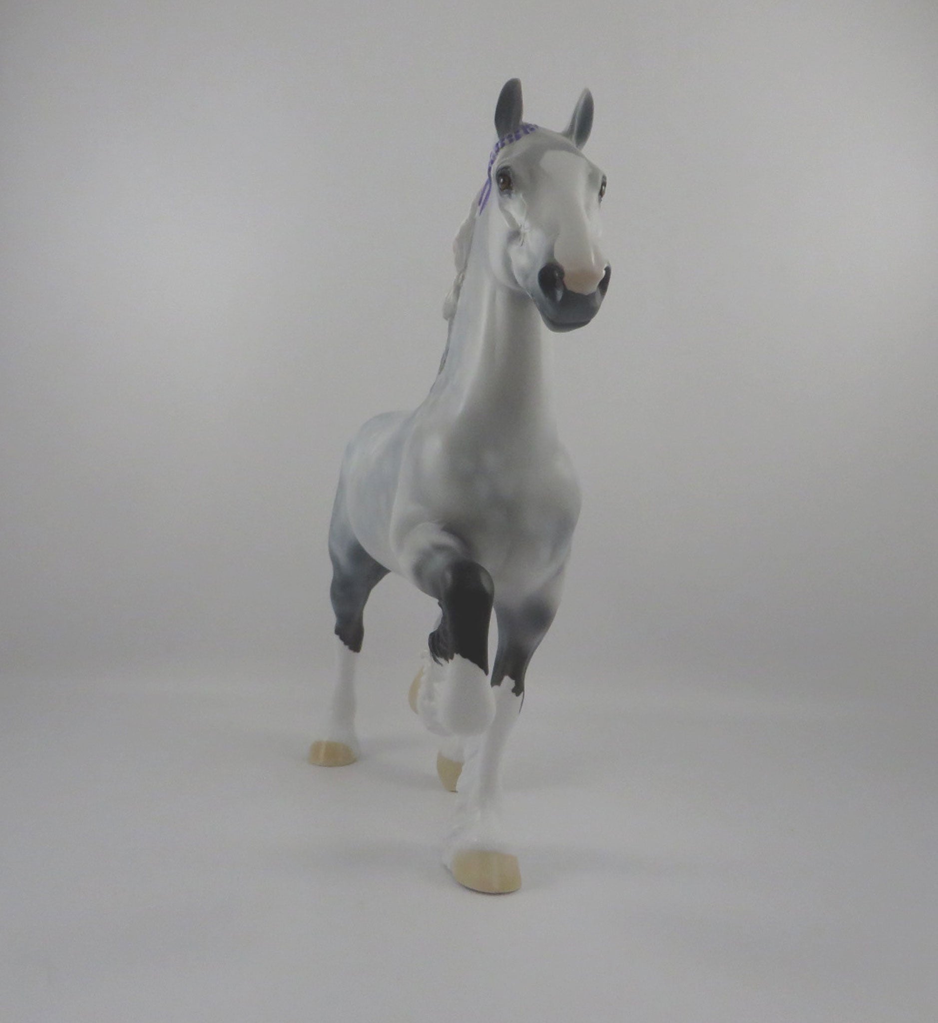Paddie-OOAK Dapple Grey Trotting Draft 2/26/21