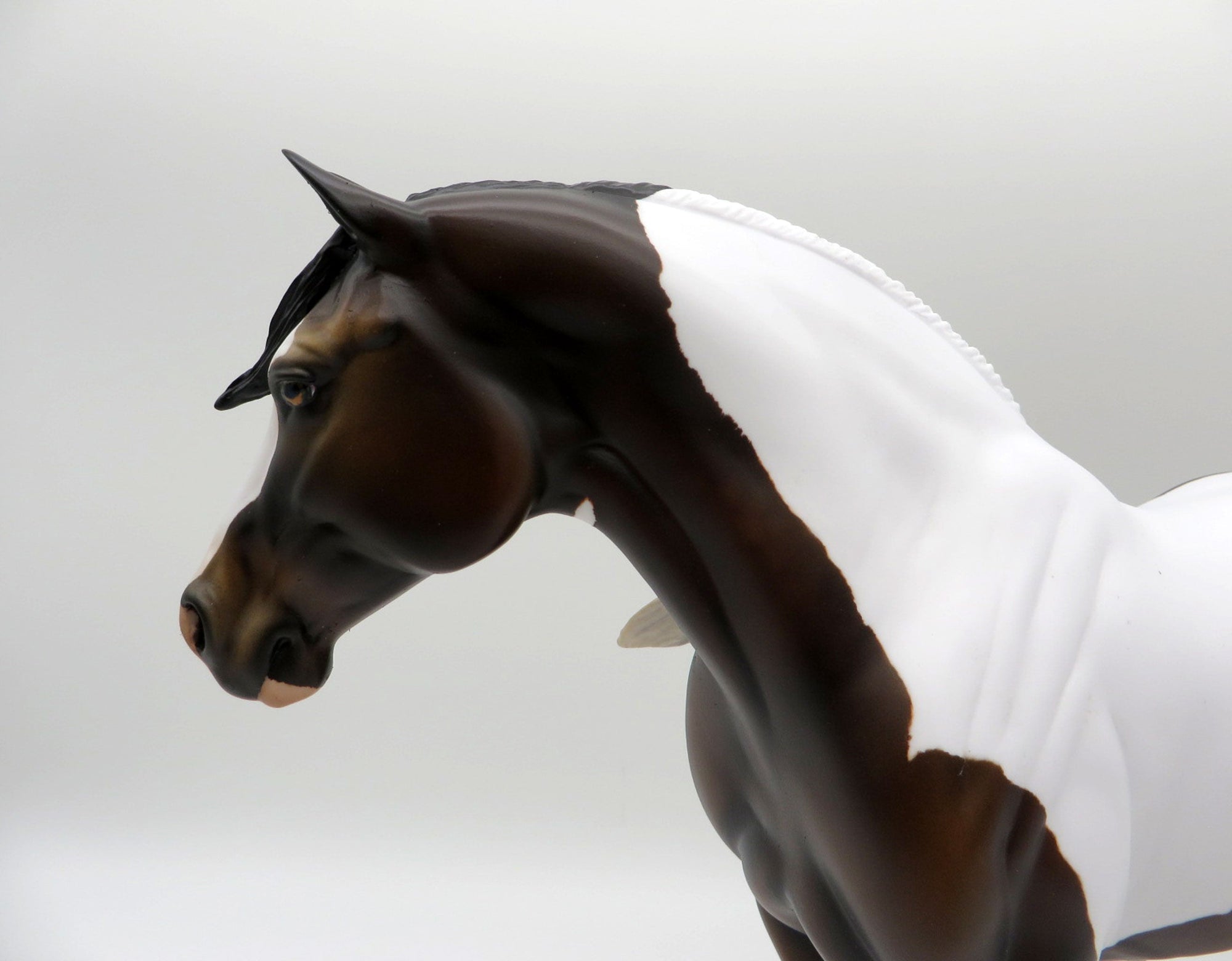 Paisley-OOAK Bay Pinto Heavy Draft Mare SHCF 2021