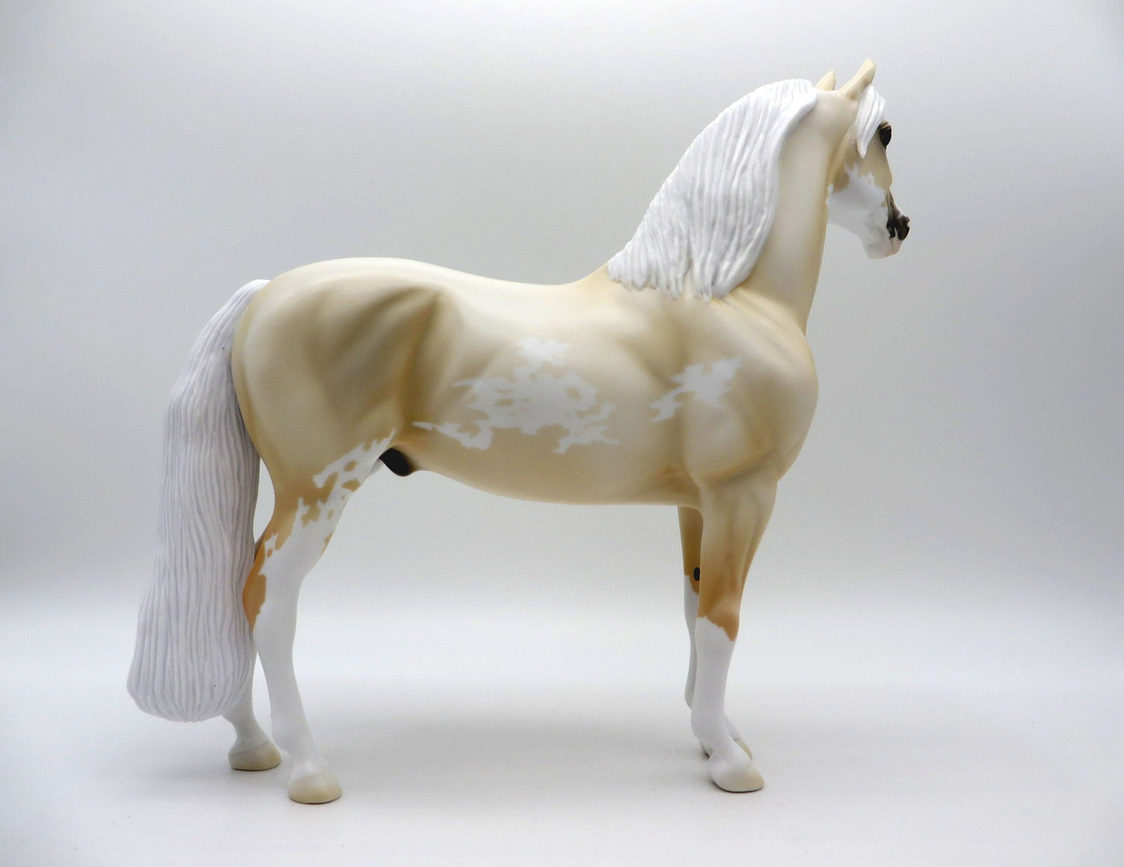 Pale Flower-OOAK Pale Palomino Morgan  SHCF 2021