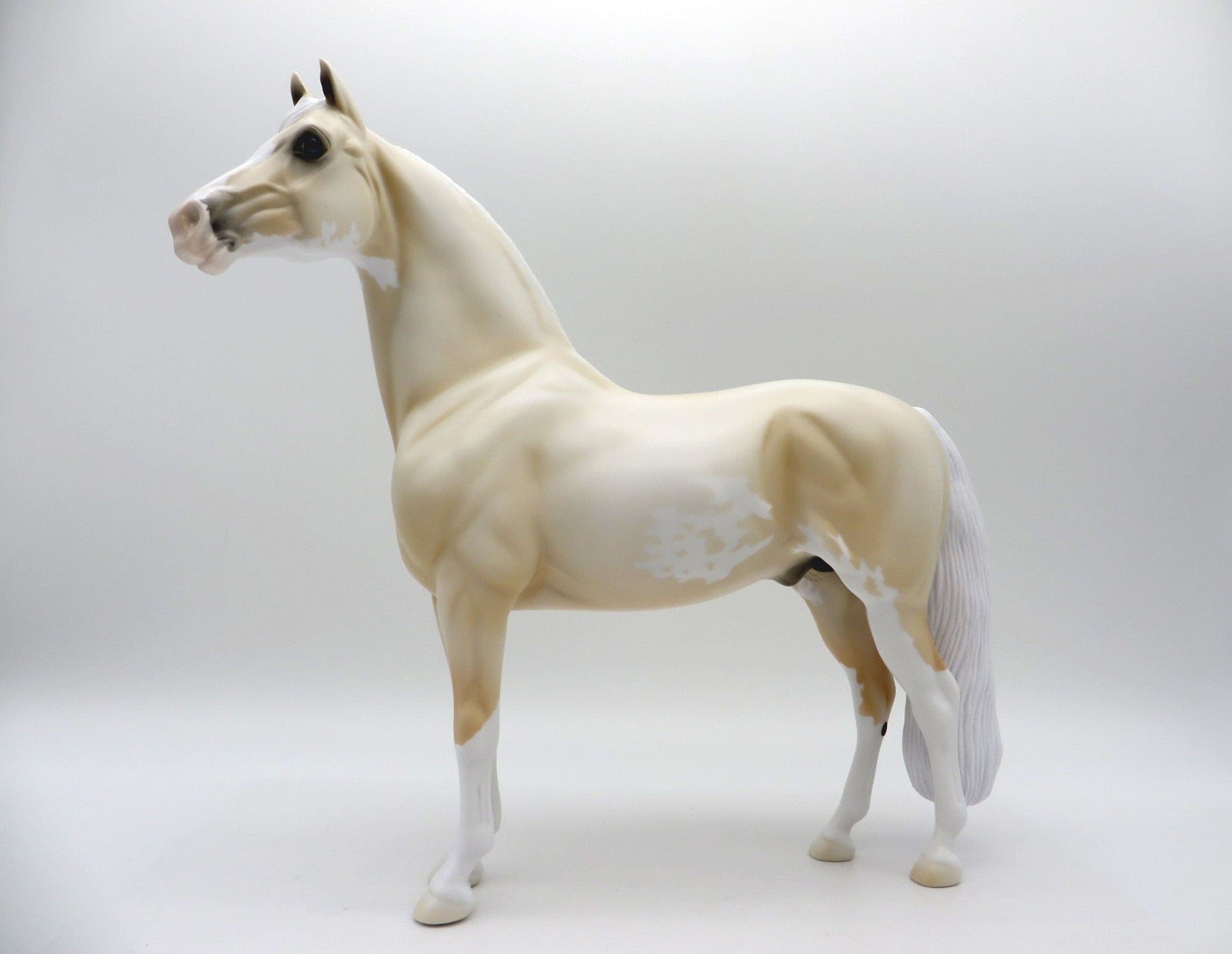 Pale Flower-OOAK Pale Palomino Morgan  SHCF 2021