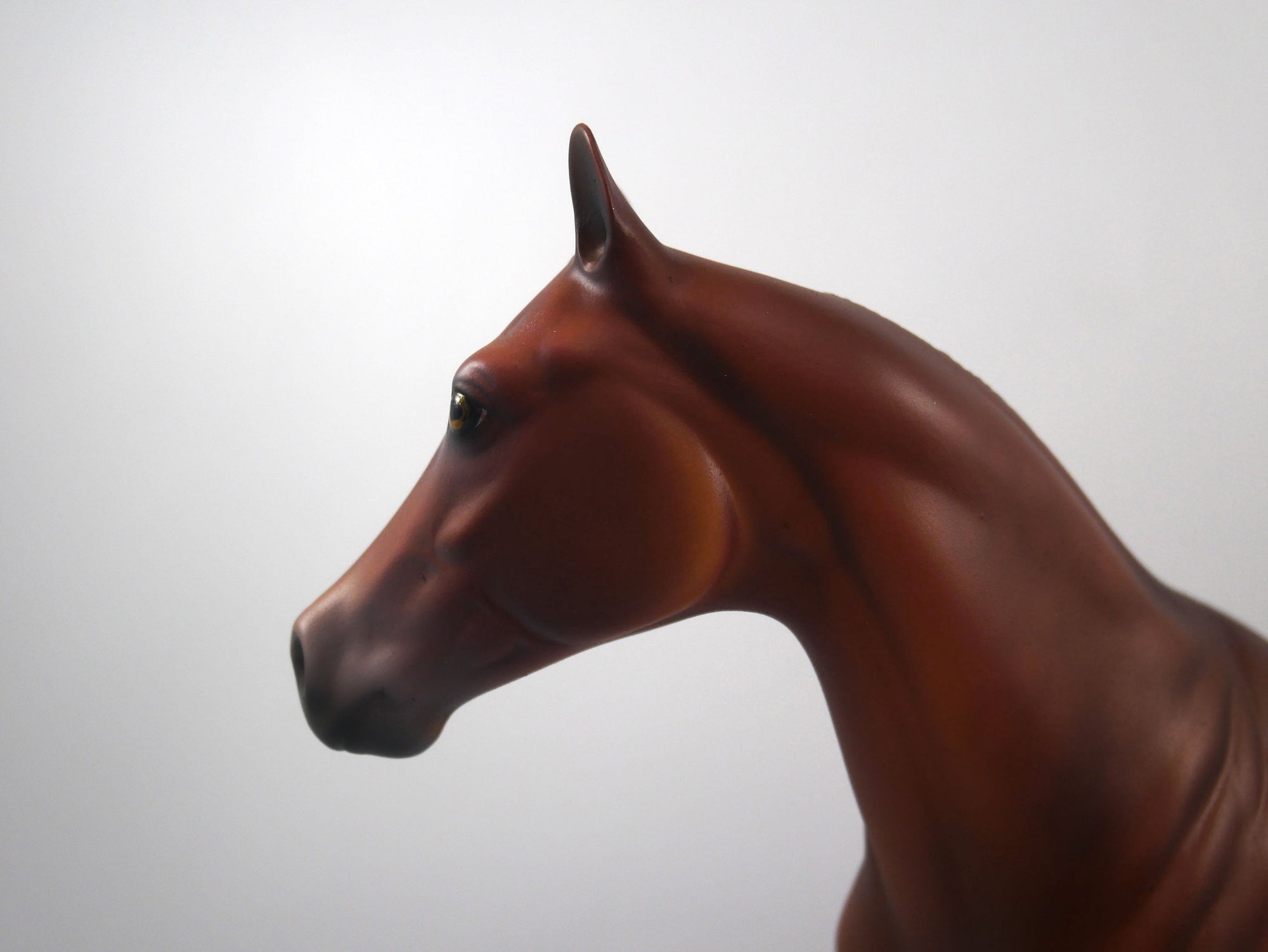 Panther-OOAK Red Chestnut ISH SB21