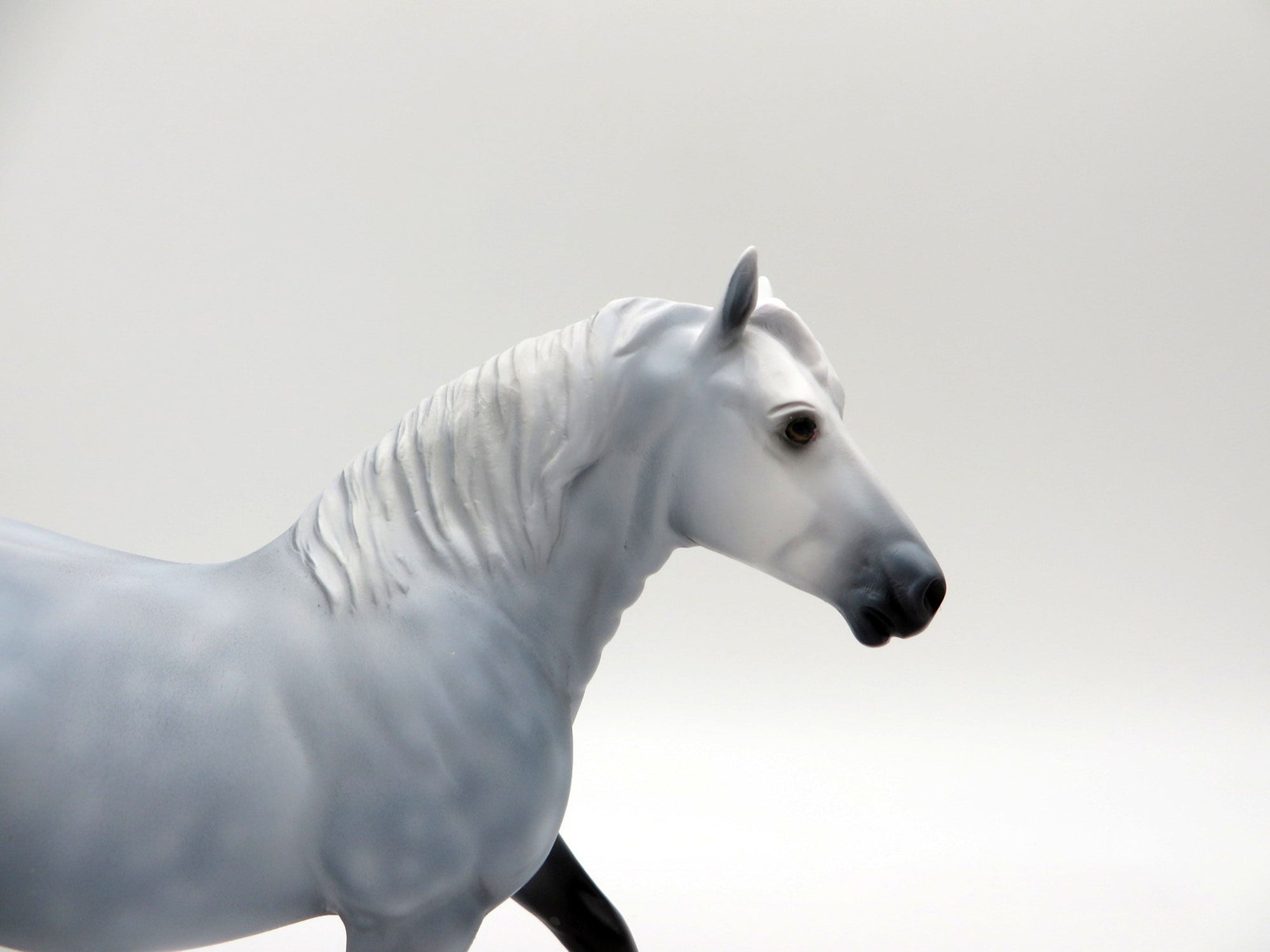 Paradox-OOAK Dapple Grey Trotting Drafter Pebbles SHCF 2021