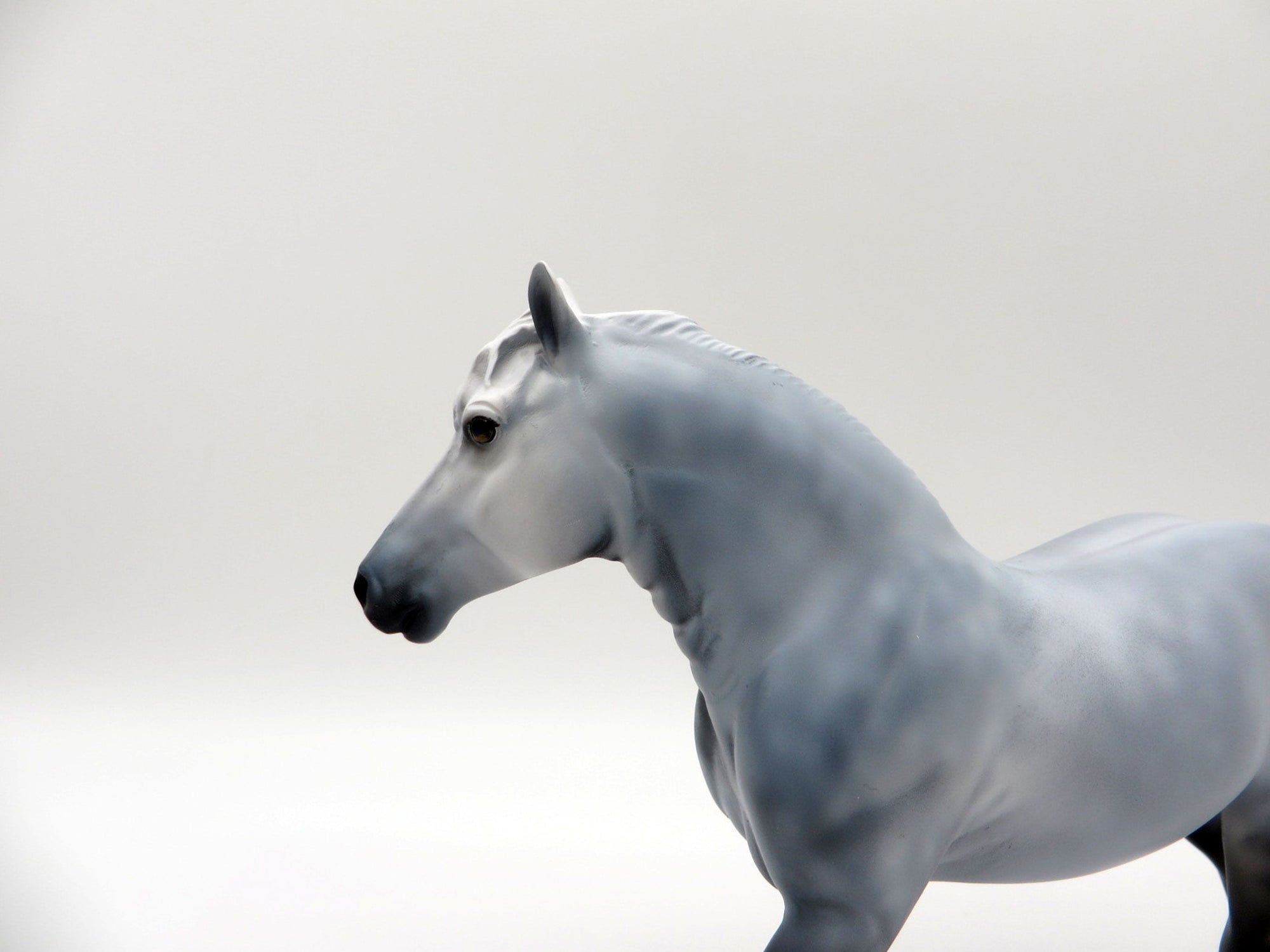 Paradox-OOAK Dapple Grey Trotting Drafter Pebbles SHCF 2021