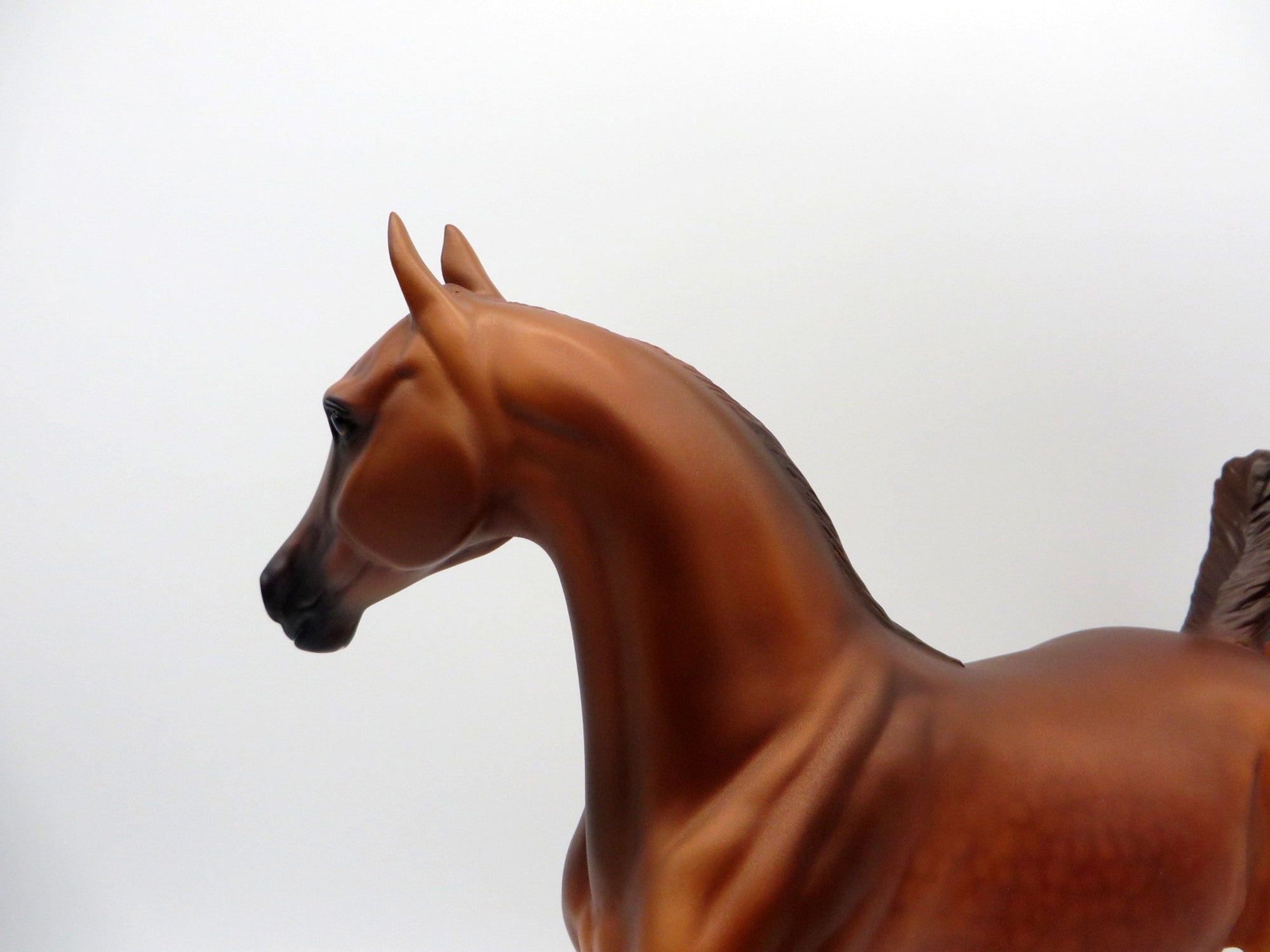 Parana-OOAK Chestnut Arabian Mare By Caroline Boydston 4/5/21