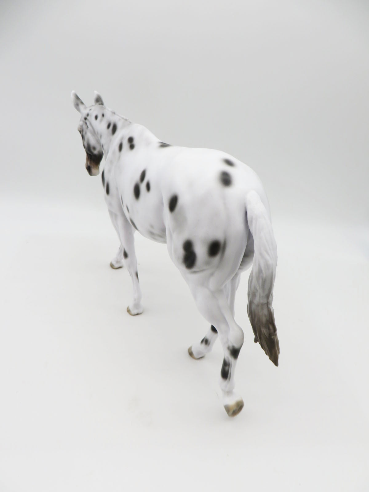 Partridge - OOAK - Bay Apaloosa Mule By Jess Hamill - CT22