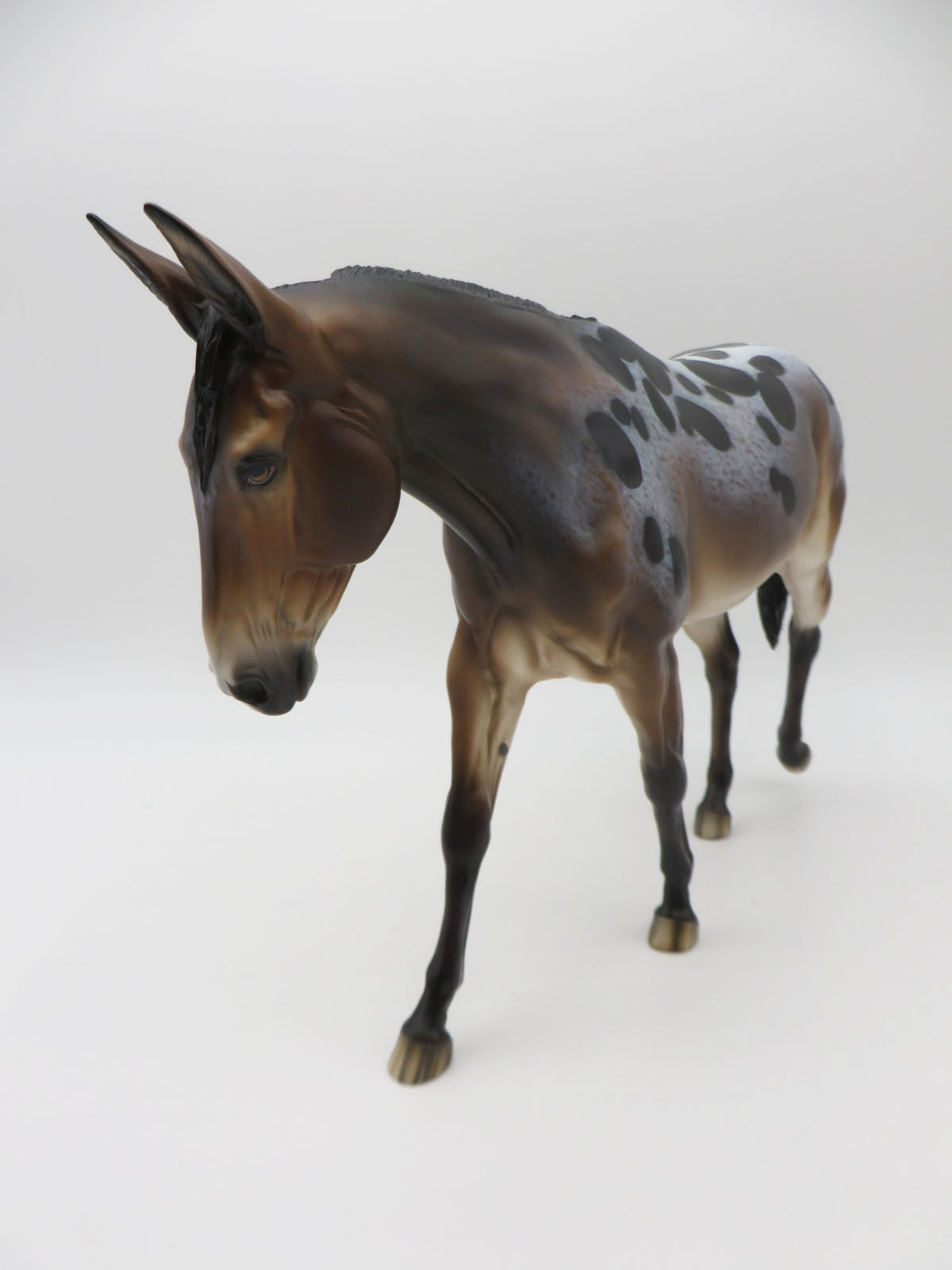 Party Girl - OOAK - Bay Appaloosa Mule by Sheryl Leisure - Best Offers 1/23/23