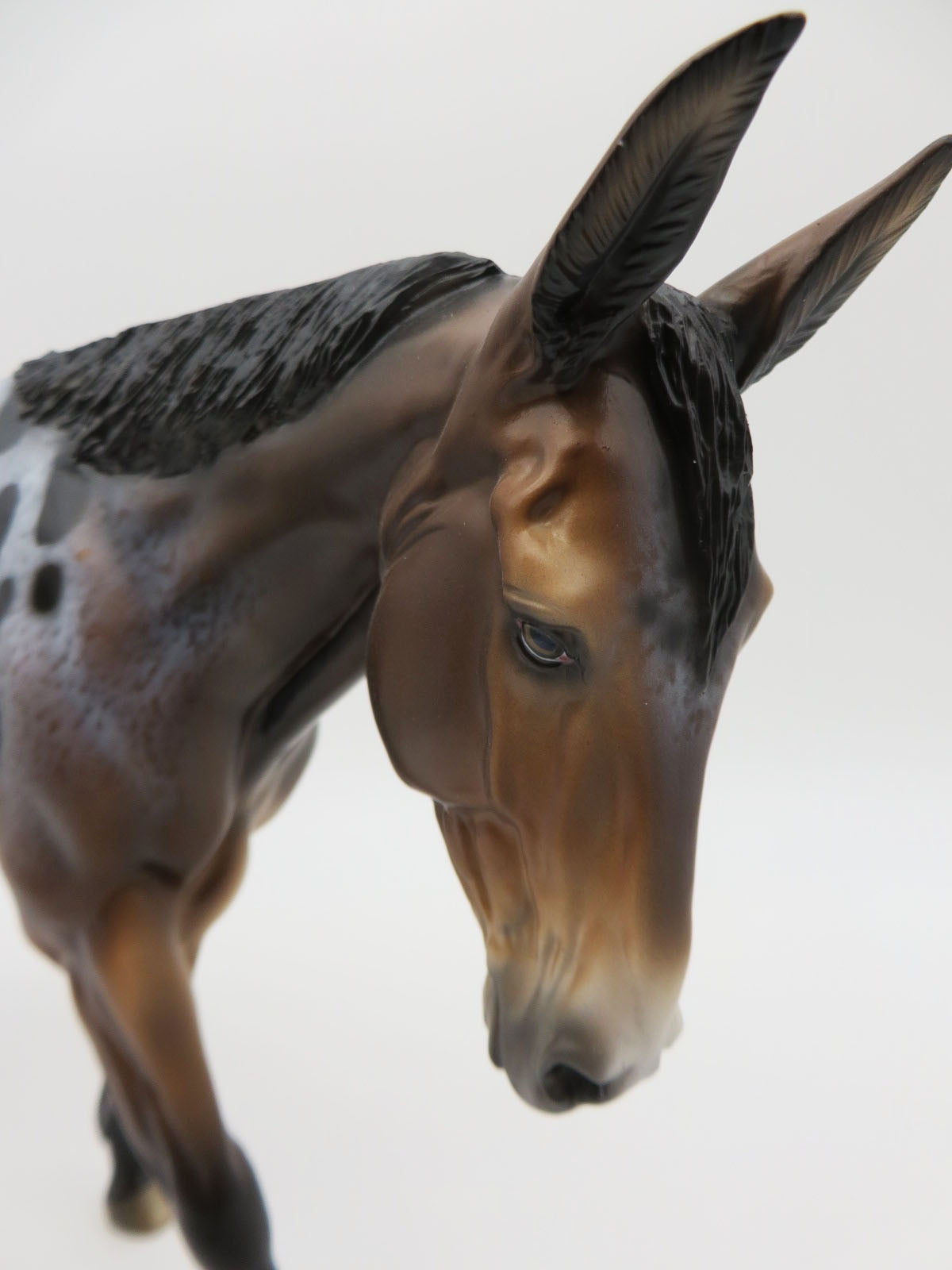 Party Girl - OOAK - Bay Appaloosa Mule by Sheryl Leisure - Best Offers 1/23/23